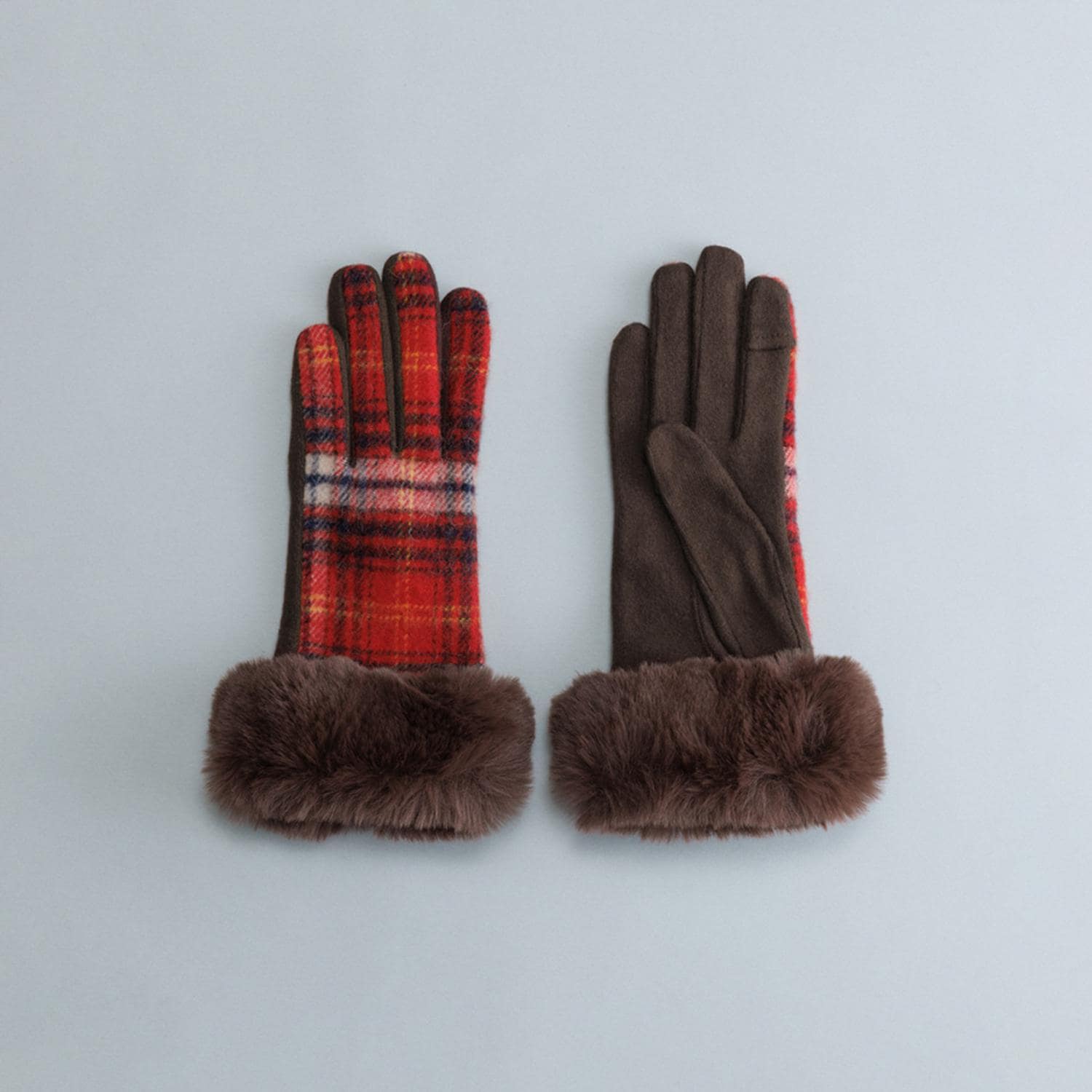 [}C]WOMEN ^[^`FbNtFCNt@[tW[WO[u/obN[ht@~[iBACKYARD FAMILYj bh