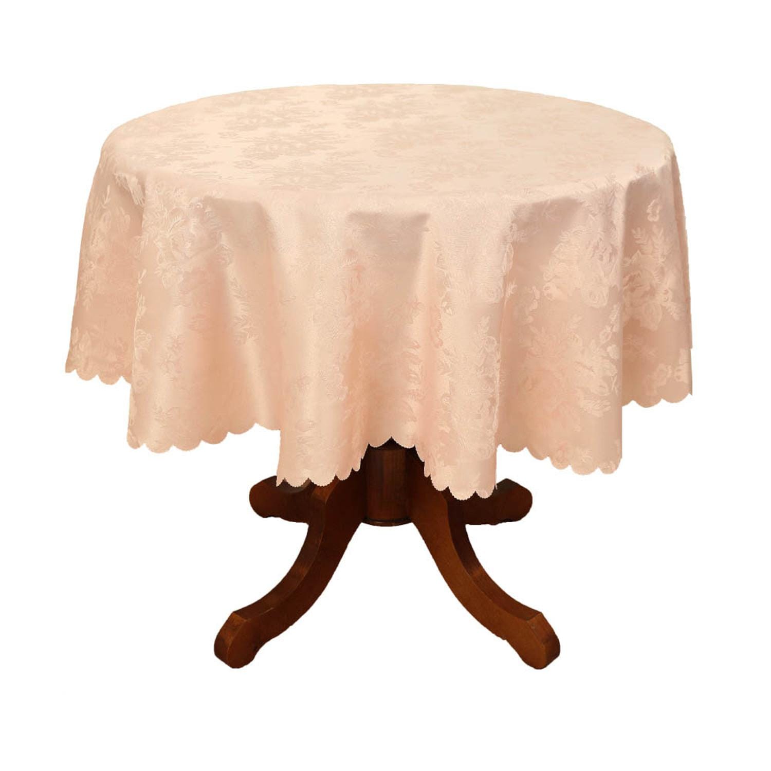 [}C][Y EhNX/obN[ht@~[iBACKYARD FAMILYj sN