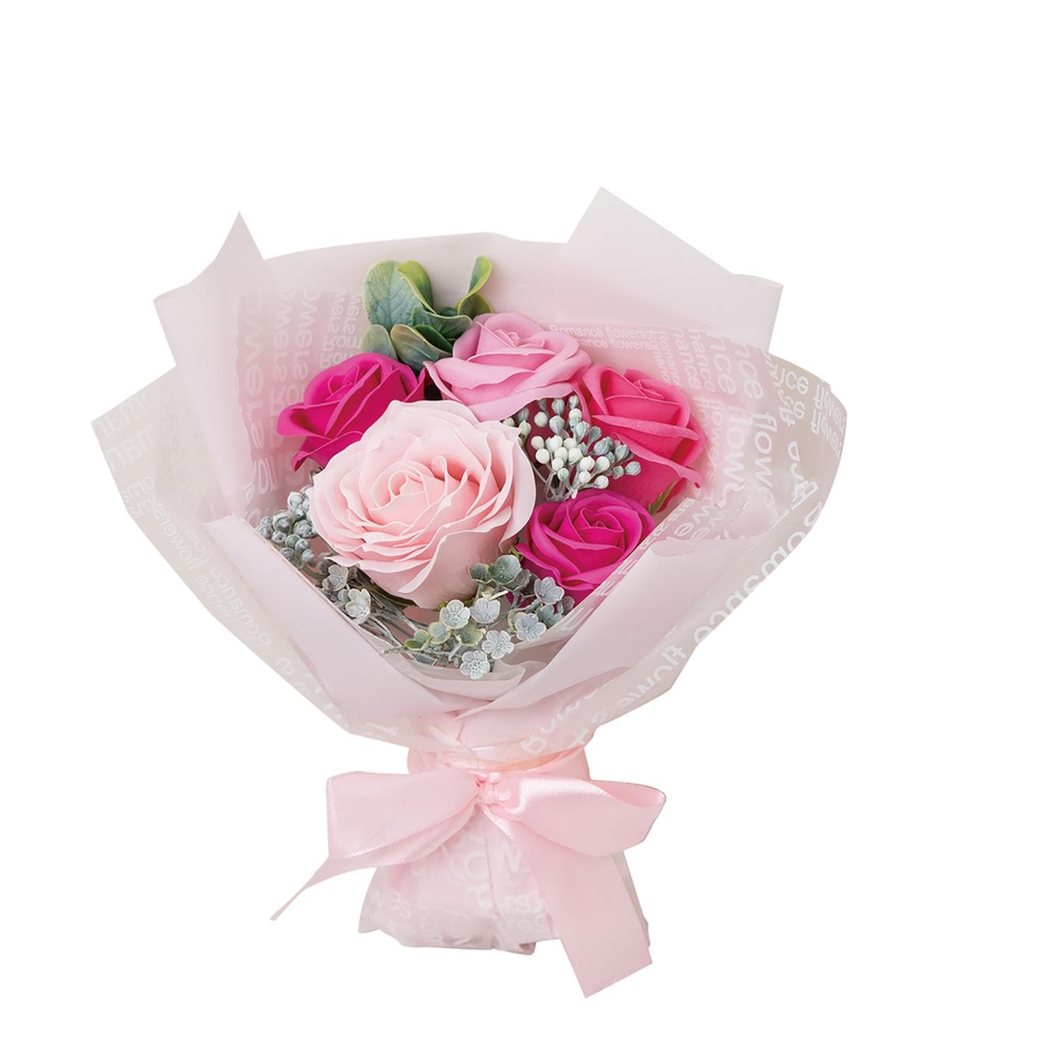 [}C]GKg~ju[P/obN[ht@~[iBACKYARD FAMILYj sN