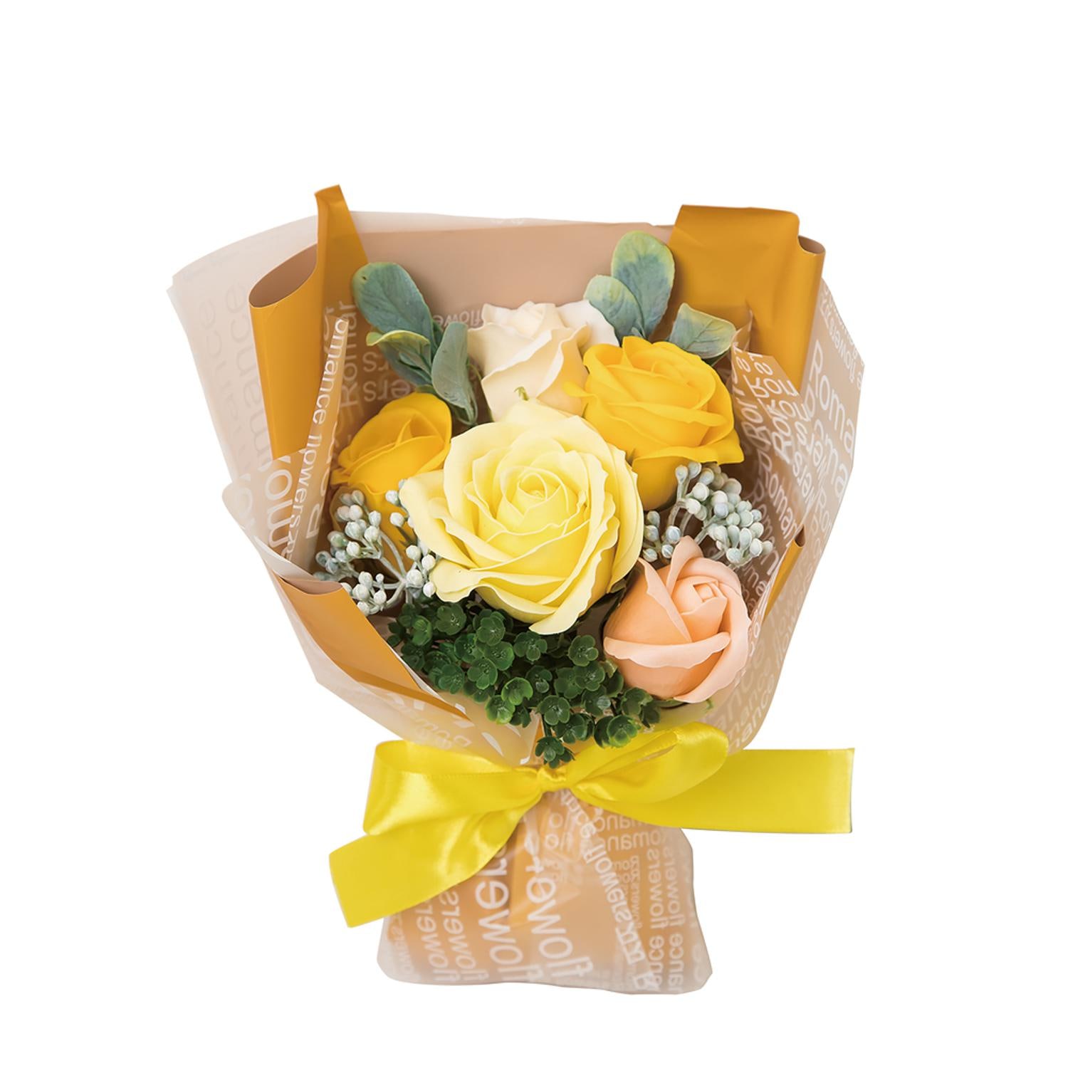 [}C]GKg~ju[P/obN[ht@~[iBACKYARD FAMILYj CG[