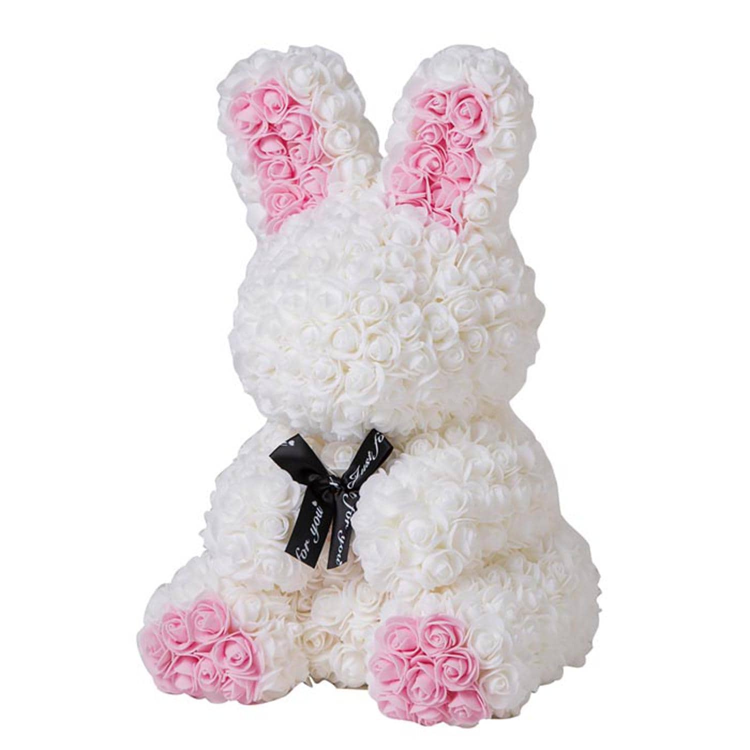 [}C]A[eBtBVAj}/obN[ht@~[iBACKYARD FAMILYj zCg