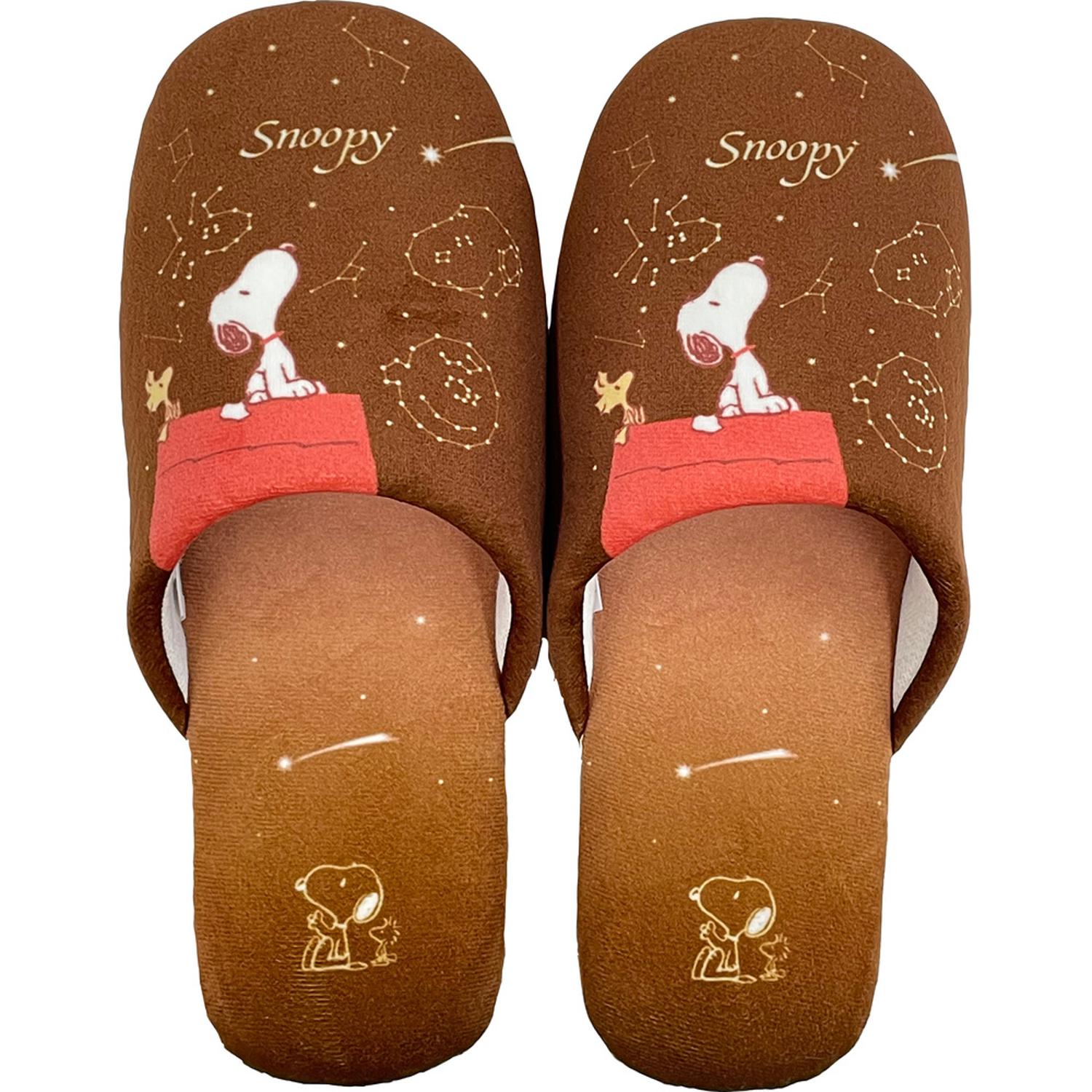 [}C]Xk[s[ Xbp/obN[ht@~[iBACKYARD FAMILYj Xk[s[/uE