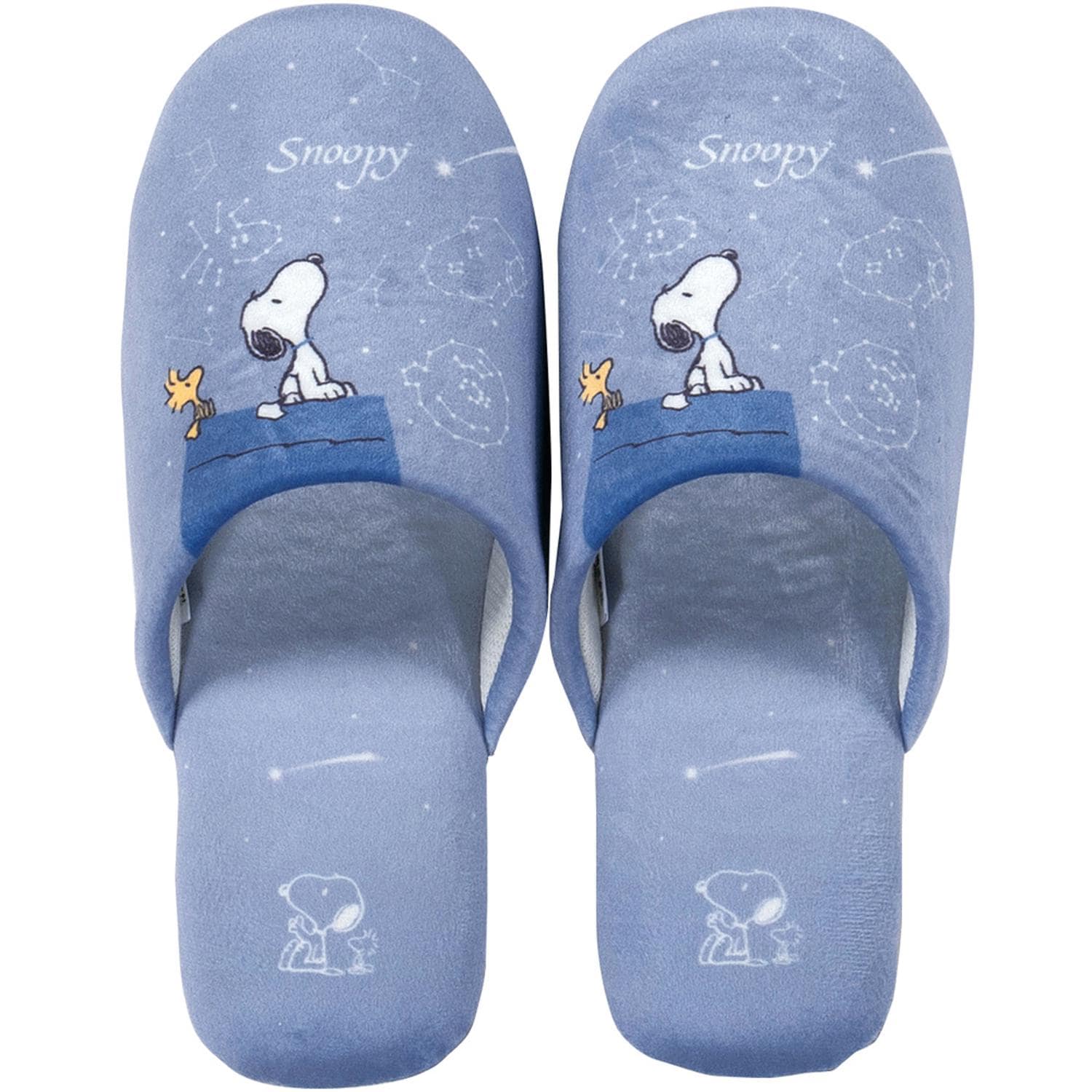 [}C]Xk[s[ Xbp/obN[ht@~[iBACKYARD FAMILYj Xk[s[/u[O[