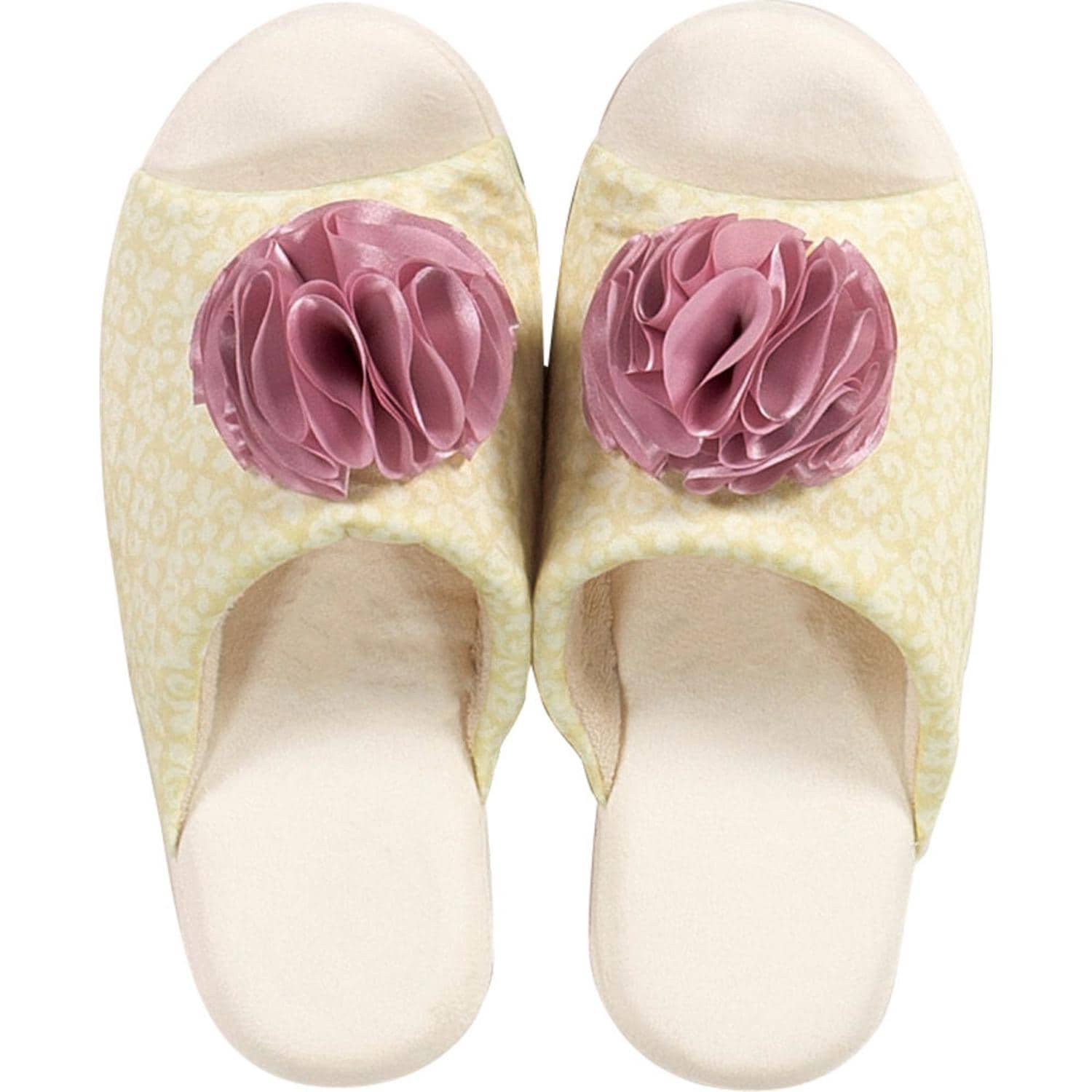 [}C]VNWF Xbp/obN[ht@~[iBACKYARD FAMILYj AC{[