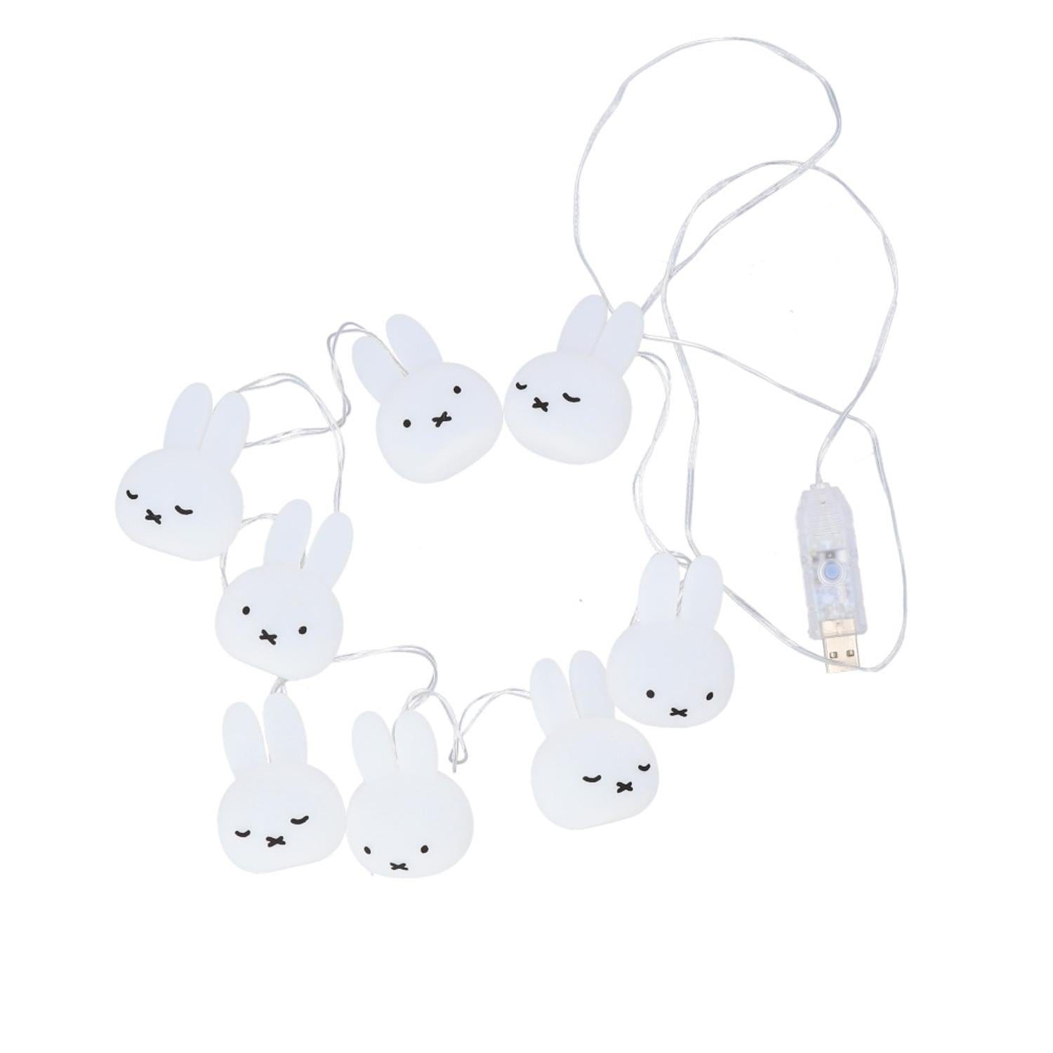 [}C]LN^[ K[hCg/obN[ht@~[iBACKYARD FAMILYj ~btB[