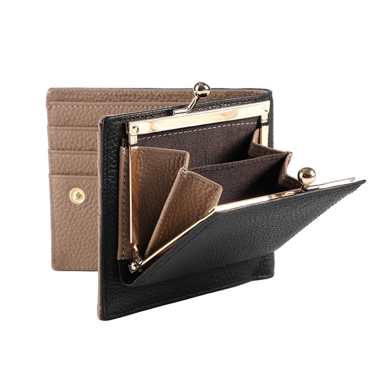 [}C]LIZDAYS ܌fUC{v܂z/obN[ht@~[iBACKYARD FAMILYj ubNxO[x[W