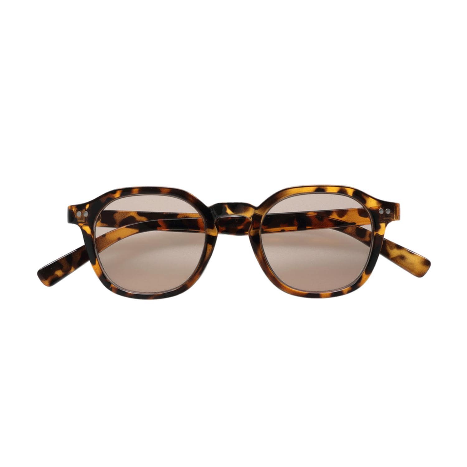 [}C]TOX sunglass5055/obN[ht@~[iBACKYARD FAMILYj S[hf~/LuE