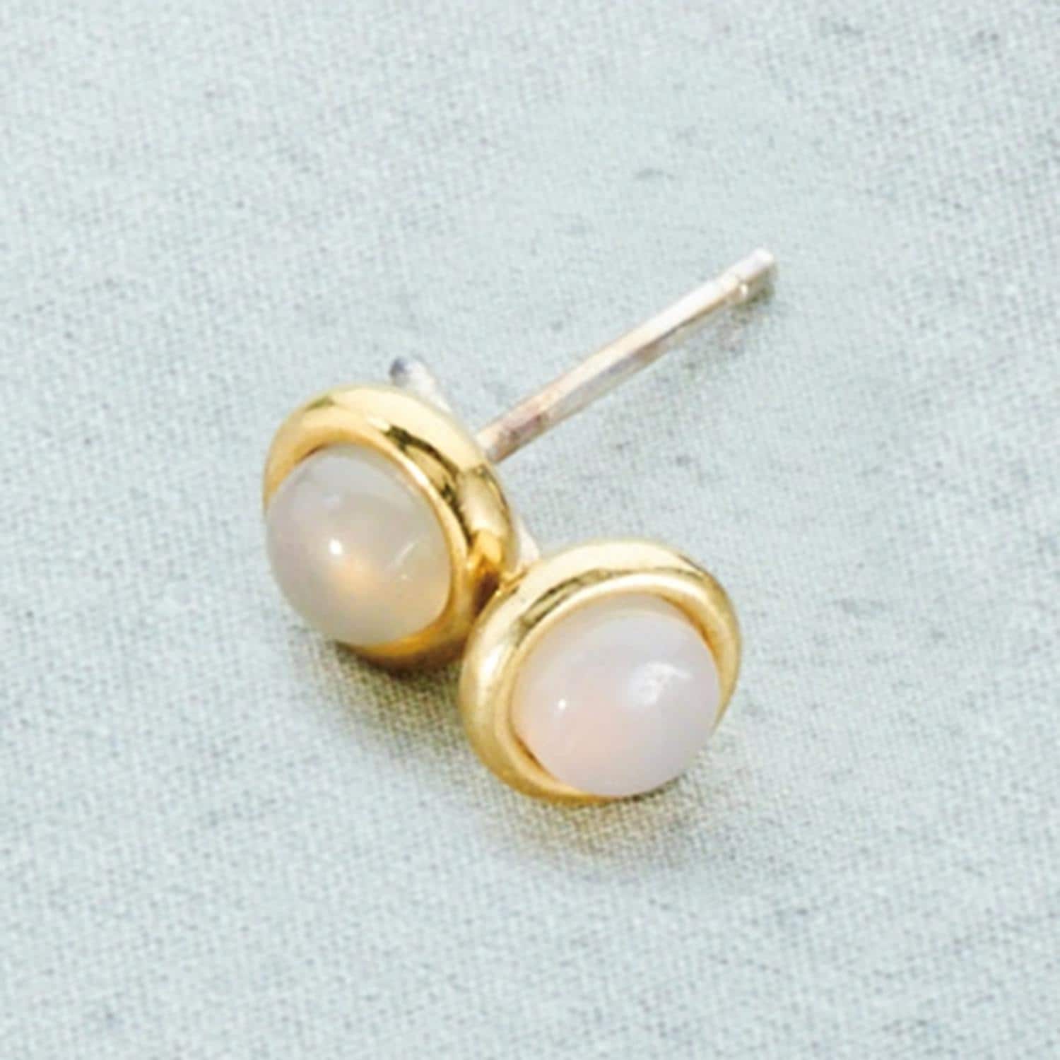 [}C]a΃sAX/obN[ht@~[iBACKYARD FAMILYj 10/O[AQ[g