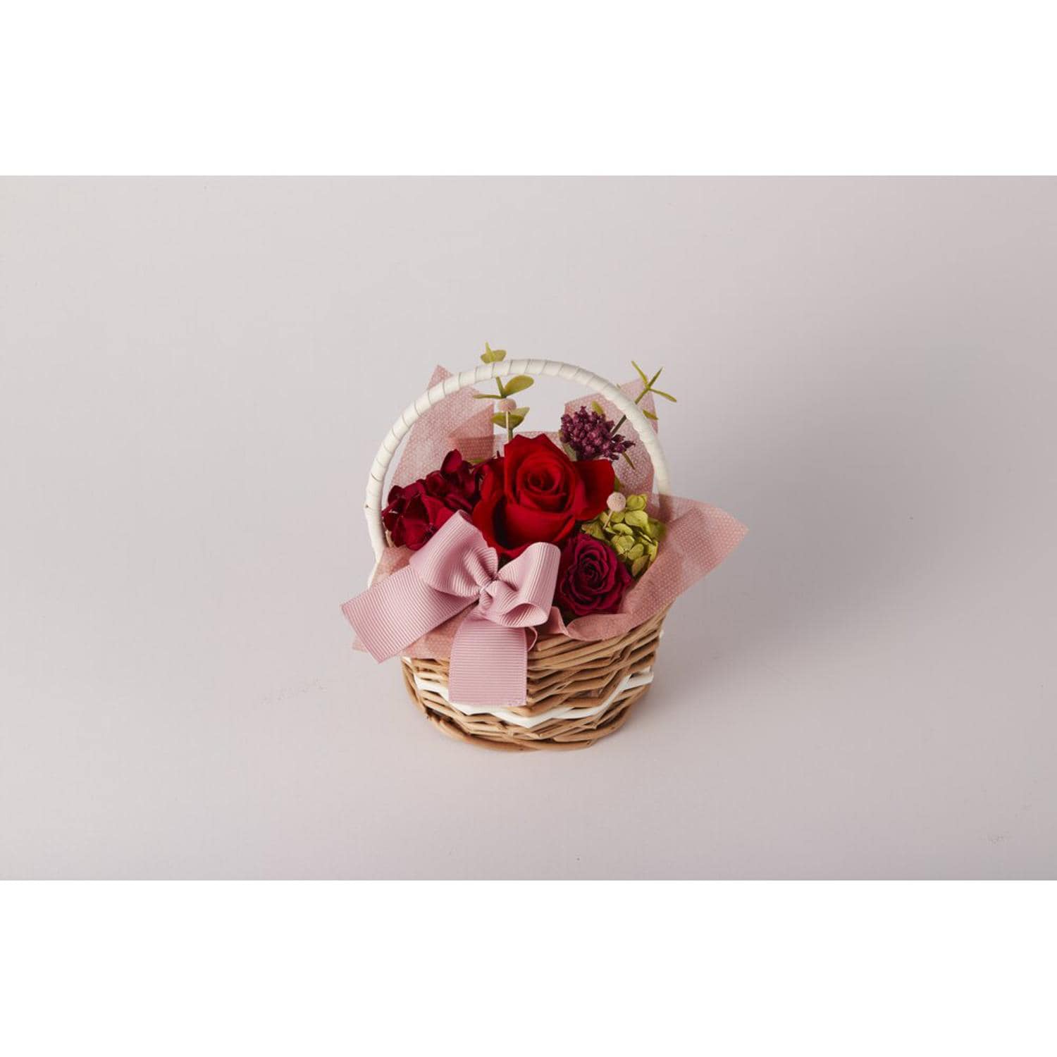 [}C]t[oXPbg/obN[ht@~[iBACKYARD FAMILYj bh