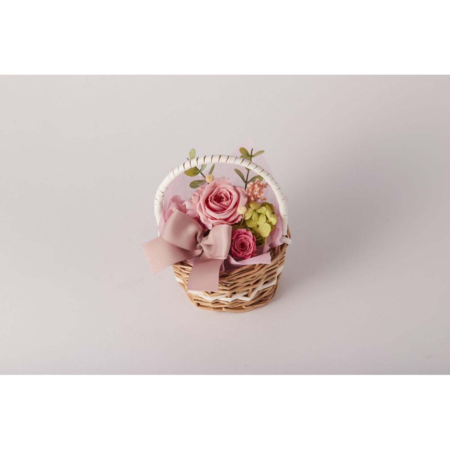 [}C]t[oXPbg/obN[ht@~[iBACKYARD FAMILYj sN