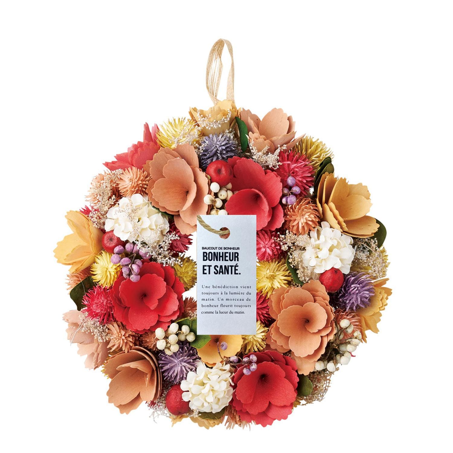 [}C]i` [X MTCY/obN[ht@~[iBACKYARD FAMILYj 326M.Jt[XC