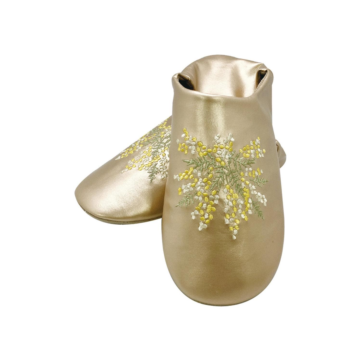 [}C]GuC_[ou[V/obN[ht@~[iBACKYARD FAMILYj ~U×S[h