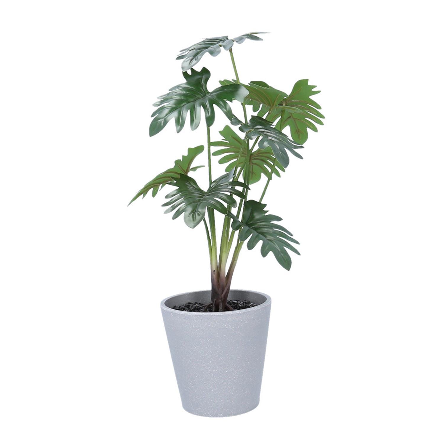 [}C]Z[|bg/obN[ht@~[iBACKYARD FAMILYj O[