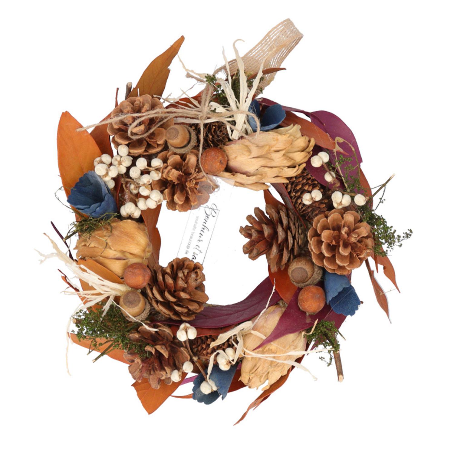 [}C]i` [X MTCY/obN[ht@~[iBACKYARD FAMILYj 302M.hCt[[X