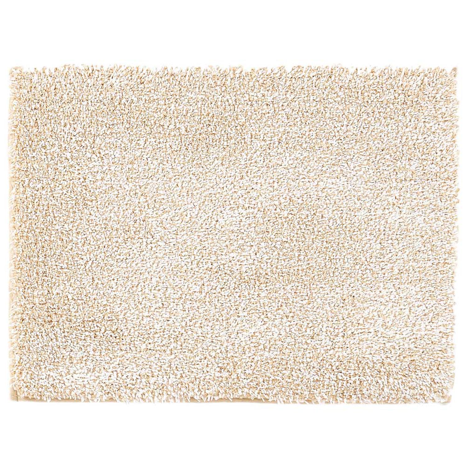 [}C]THE oX}bg fA/obN[ht@~[iBACKYARD FAMILYj x[W