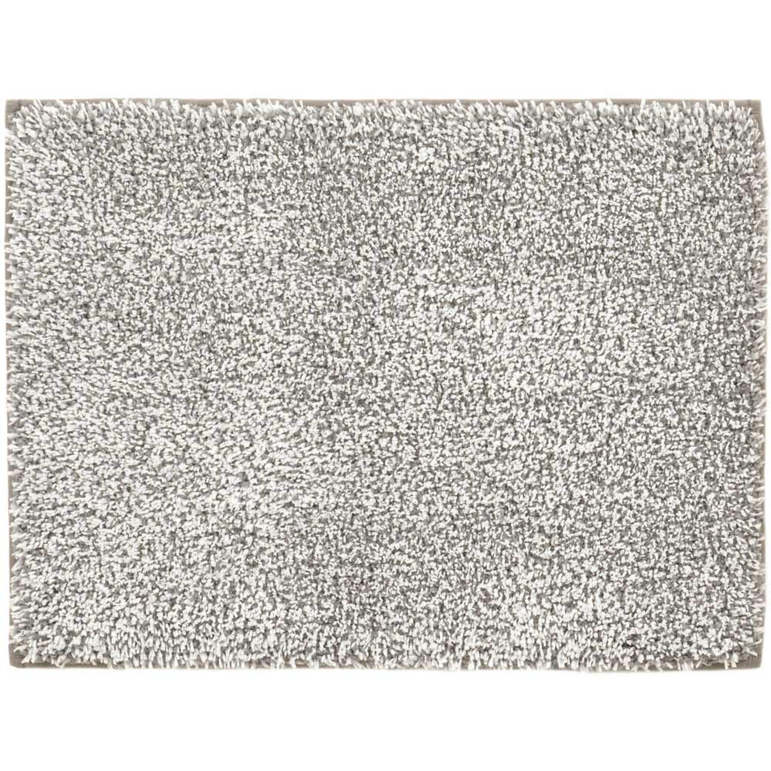 [}C]THE oX}bg fA/obN[ht@~[iBACKYARD FAMILYj O[