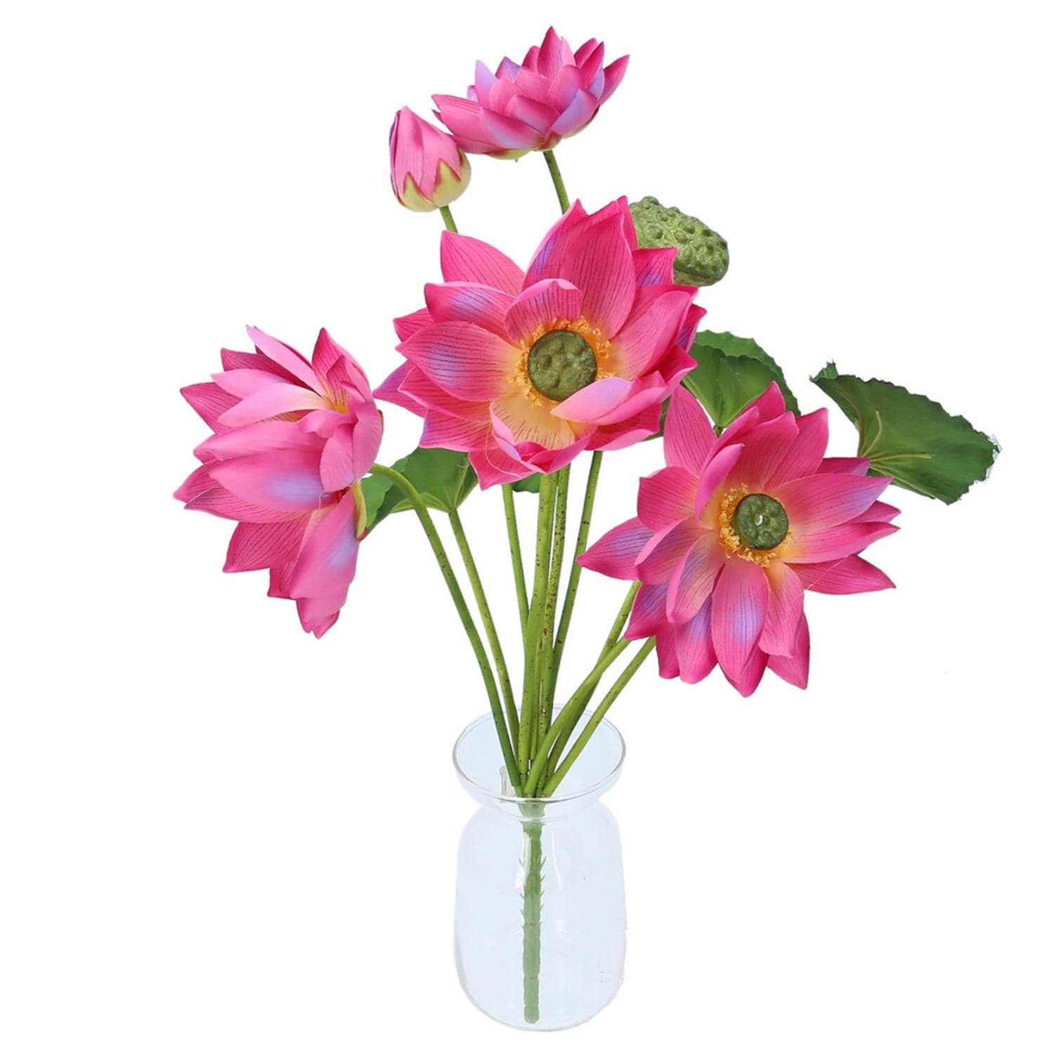 [}C][^XubV/obN[ht@~[iBACKYARD FAMILYj x_[