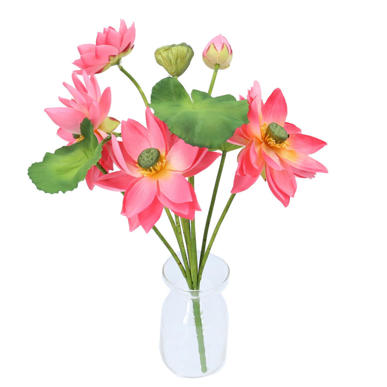 [}C][^XubV/obN[ht@~[iBACKYARD FAMILYj sN