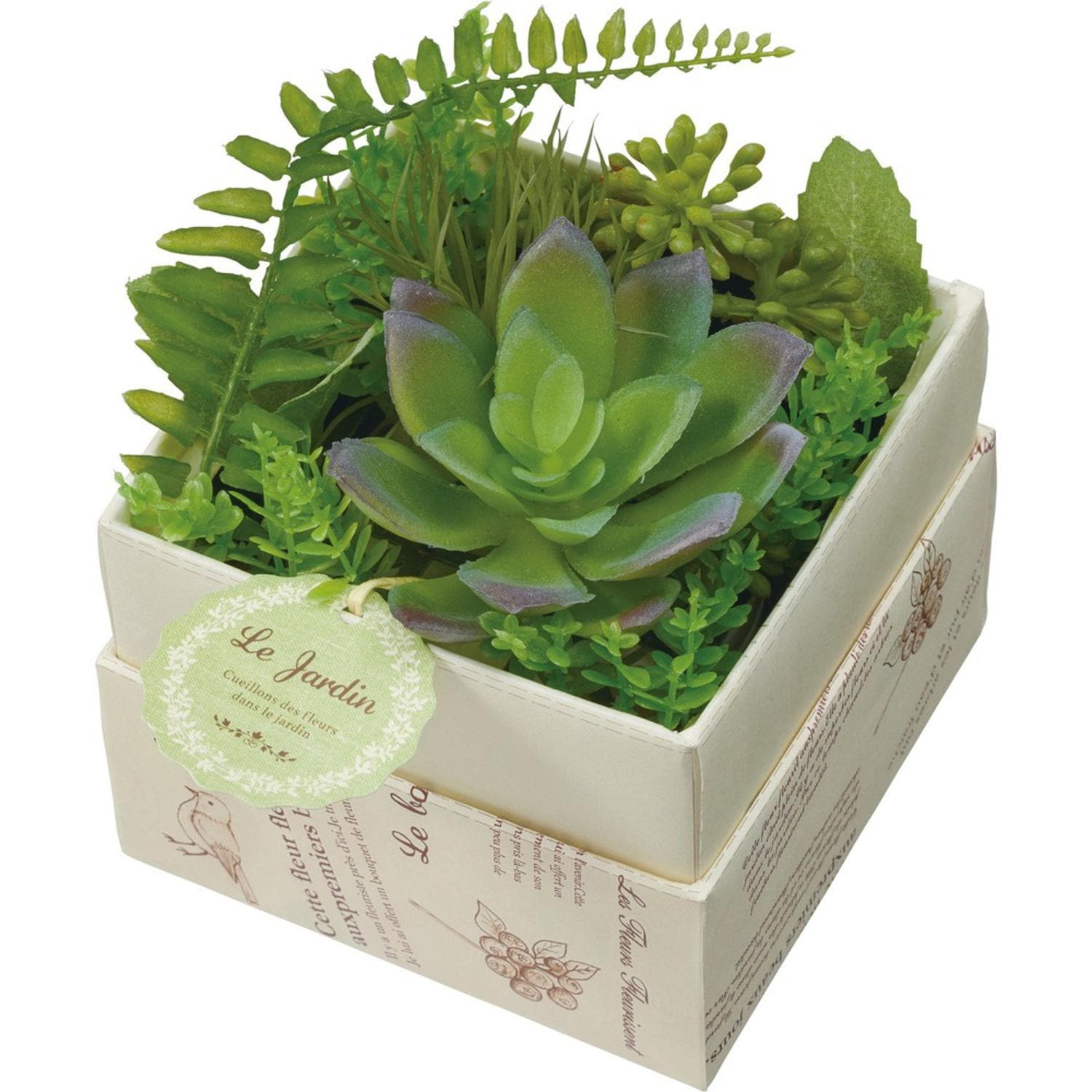 [}C]O[~bNXAW/obN[ht@~[iBACKYARD FAMILYj O[