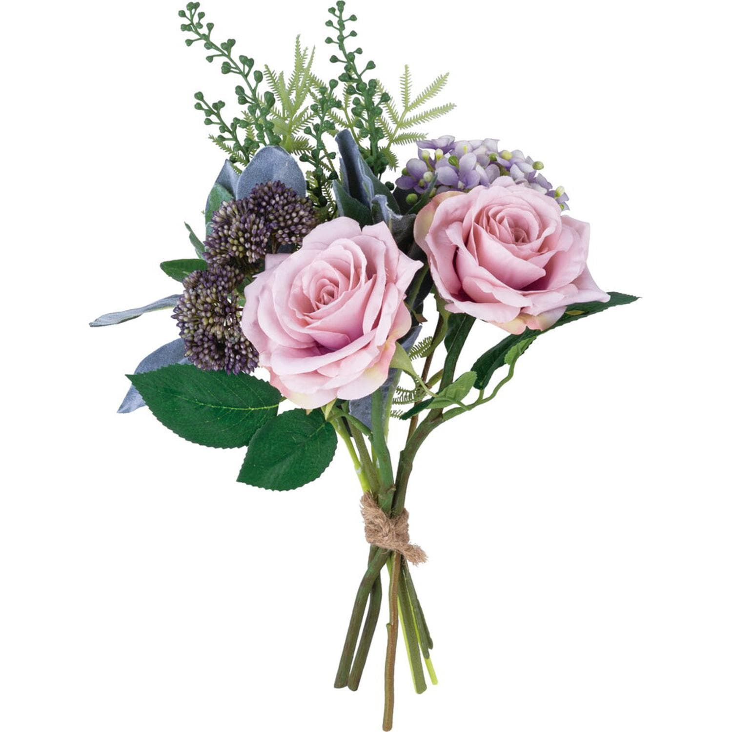 [}C]~bNXL[u[PM/obN[ht@~[iBACKYARD FAMILYj [Y~bNX/[u