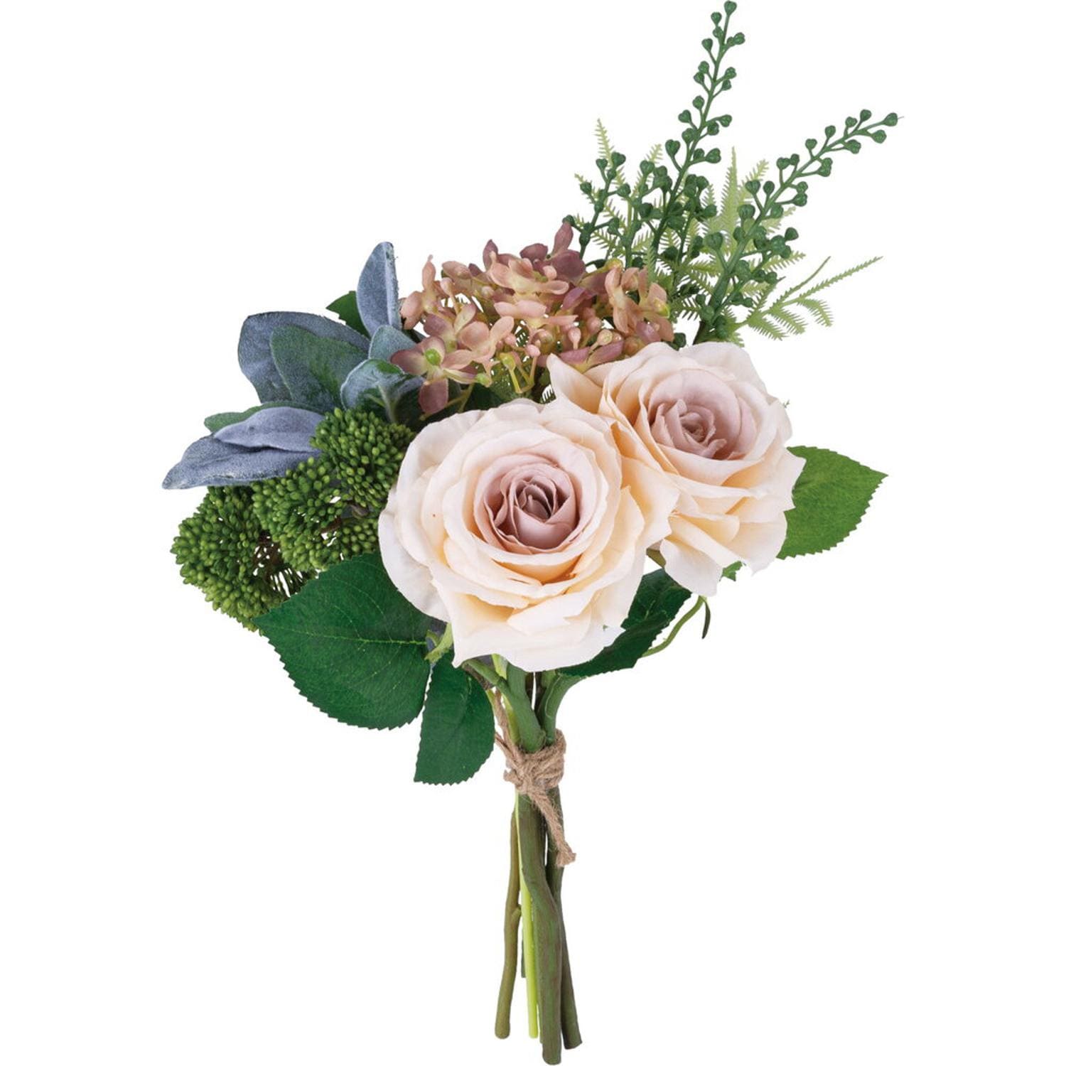 [}C]~bNXL[u[PM/obN[ht@~[iBACKYARD FAMILYj [Y~bNX/x[W