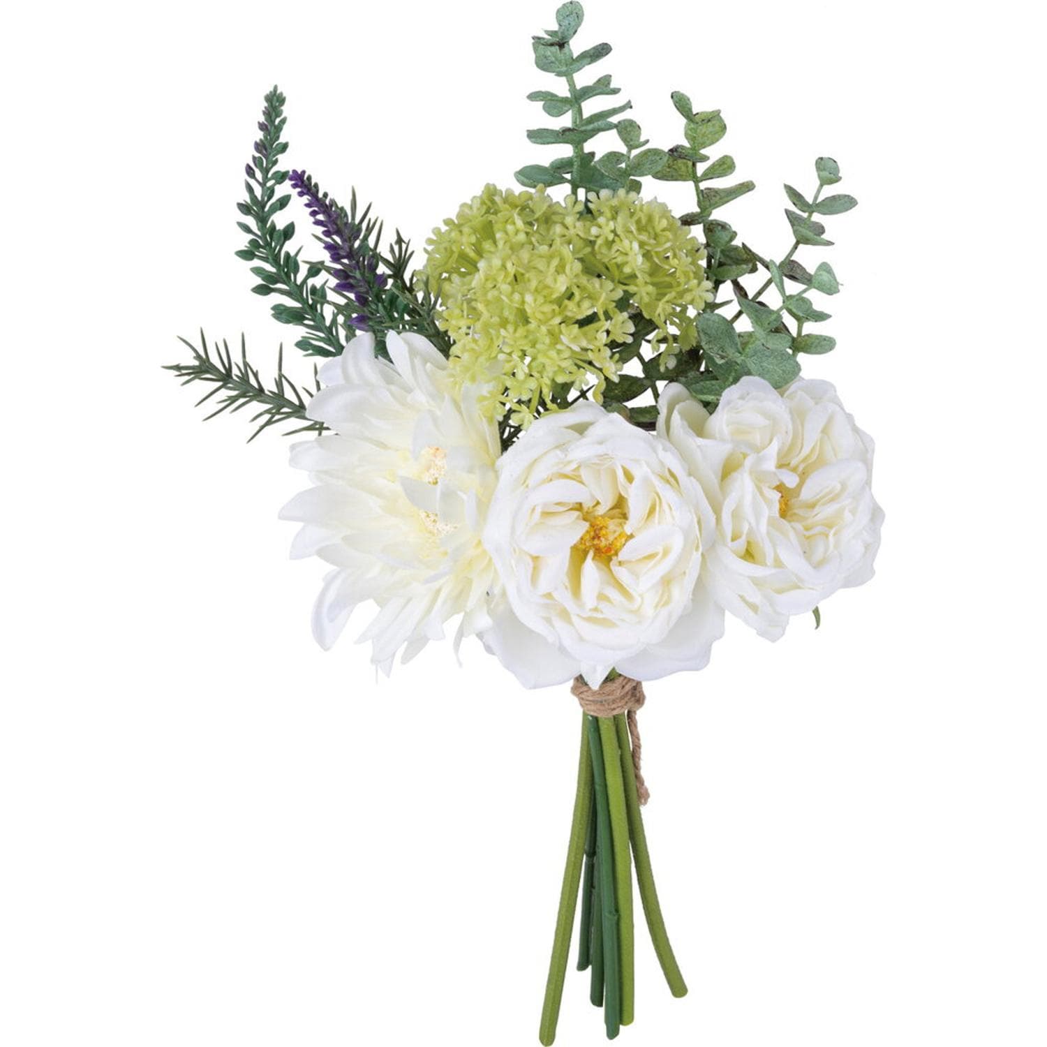 [}C]~bNXL[u[PM/obN[ht@~[iBACKYARD FAMILYj K[x[Y/zCg