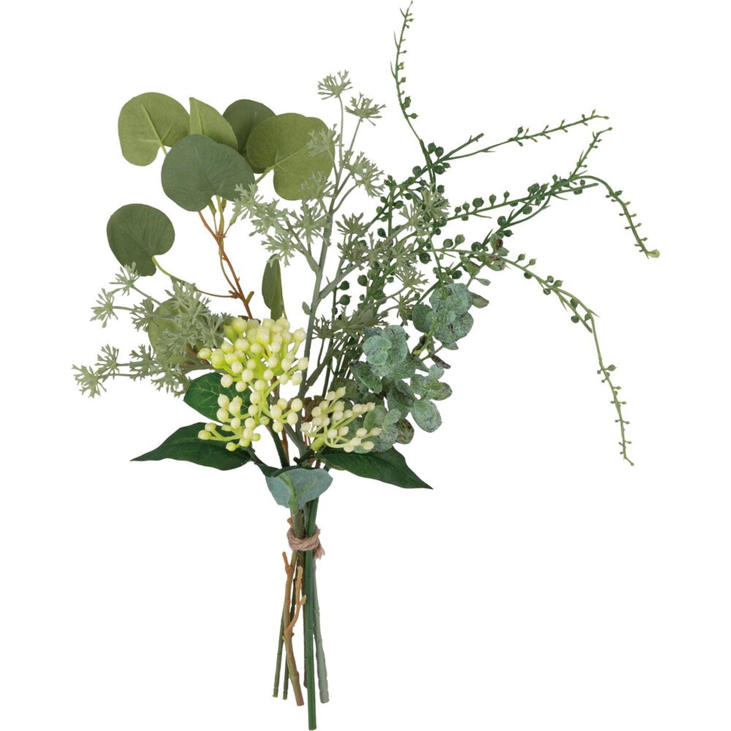 [}C]~bNXL[u[PM/obN[ht@~[iBACKYARD FAMILYj O[~bNX