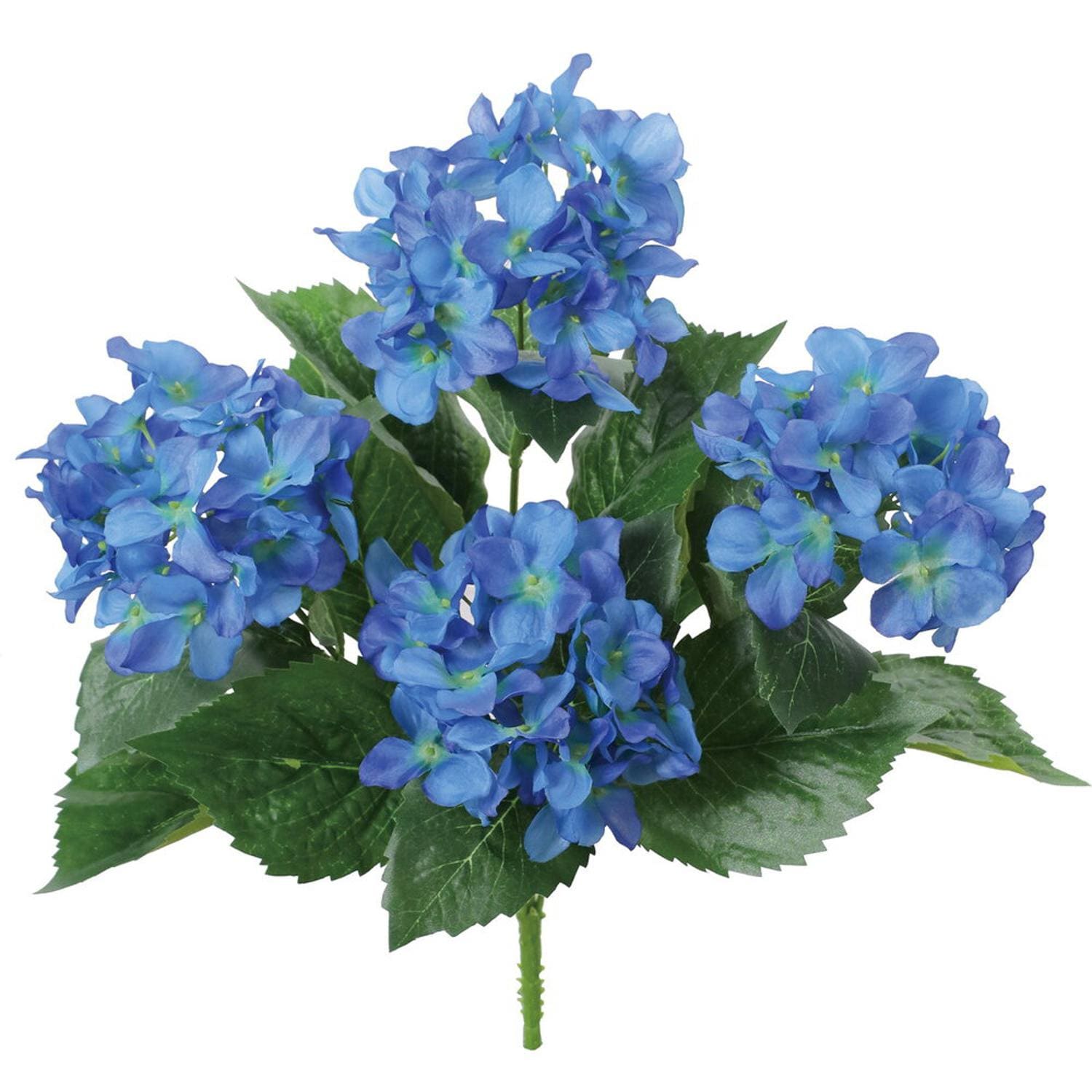 [}C]AWTCubV/obN[ht@~[iBACKYARD FAMILYj u[u