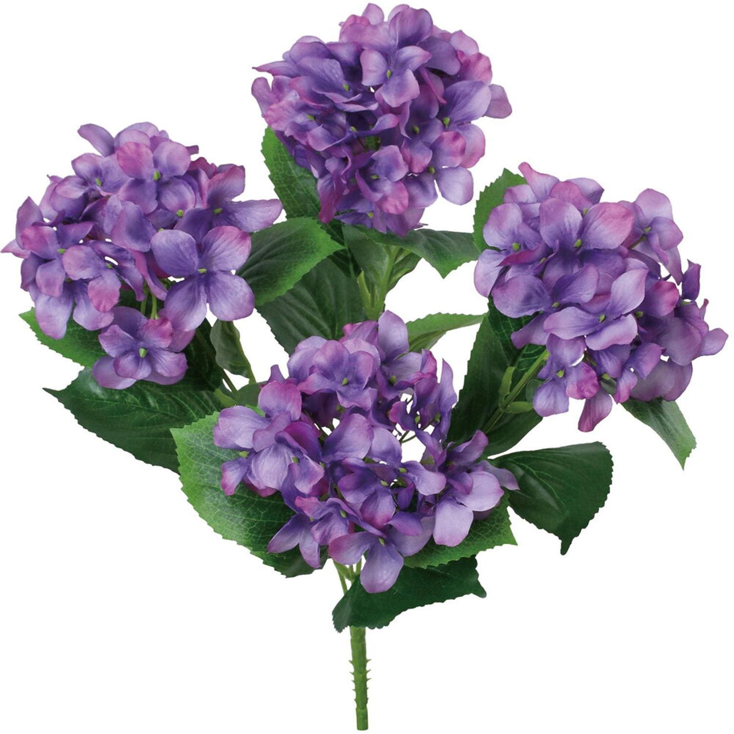 [}C]AWTCubV/obN[ht@~[iBACKYARD FAMILYj p[v