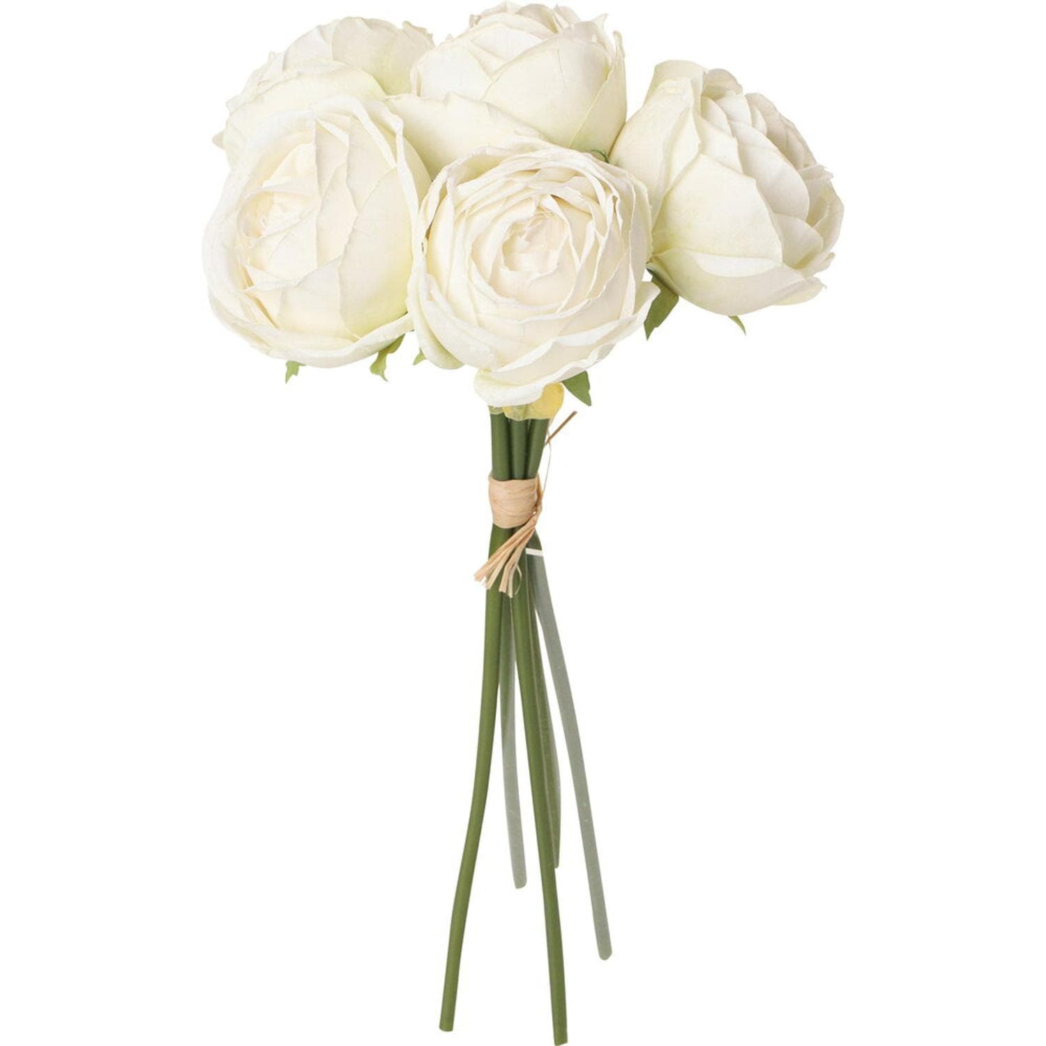 [}C]pt[[Yoh/obN[ht@~[iBACKYARD FAMILYj N[