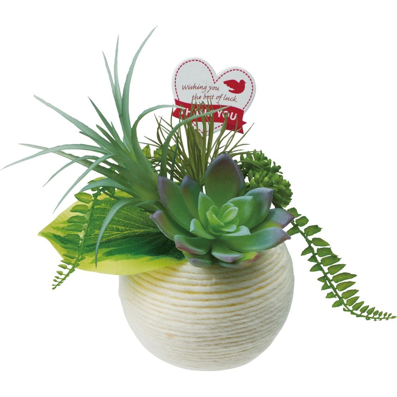 [�}���C]�~�b�N�X�E�[���|�b�g/�o�b�N���[�h�t�@�~���[�iBACKYARD FAMILY�j �O���[���~�b�N�X