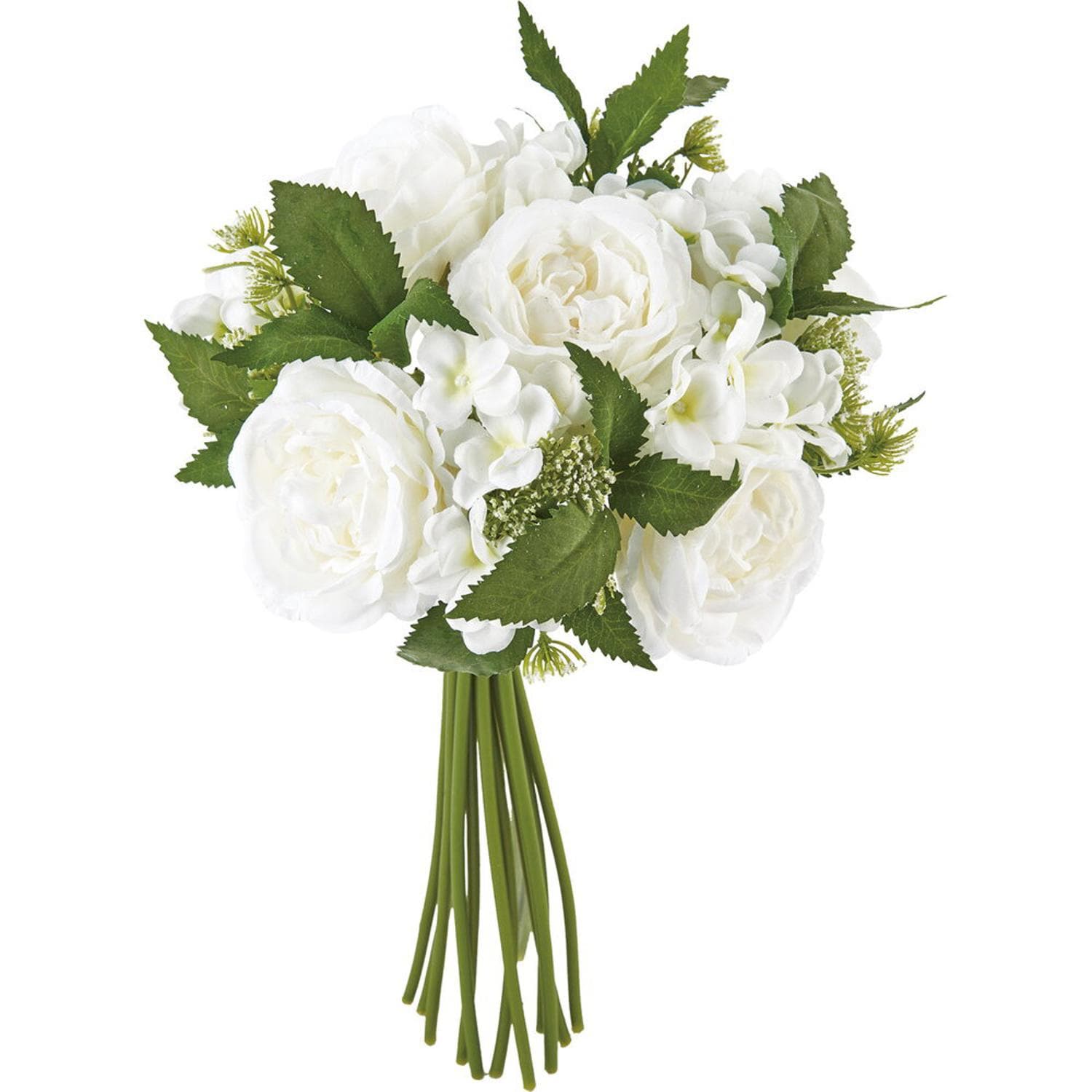 [}C]I[h[Y~bNXnhu[P/obN[ht@~[iBACKYARD FAMILYj zCg