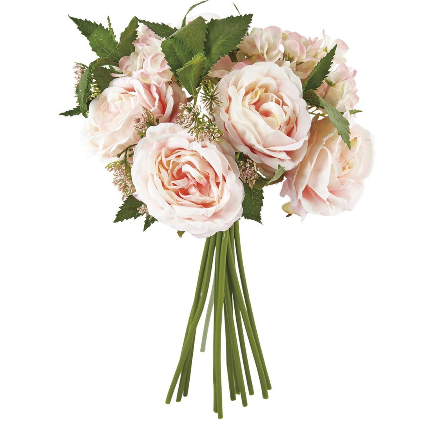 [}C]I[h[Y~bNXnhu[P/obN[ht@~[iBACKYARD FAMILYj sN