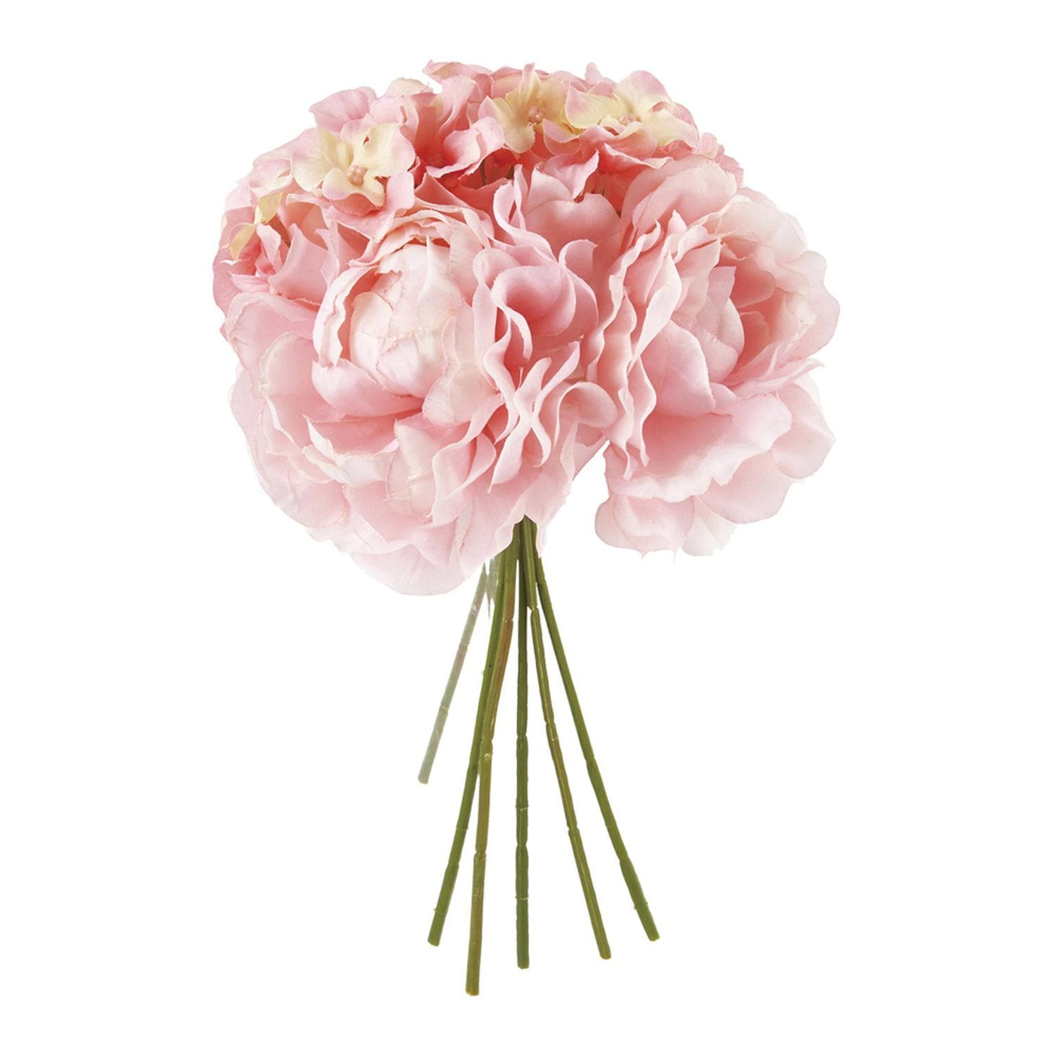 [}C]LfB[sIj[~bNXu[P/obN[ht@~[iBACKYARD FAMILYj sN