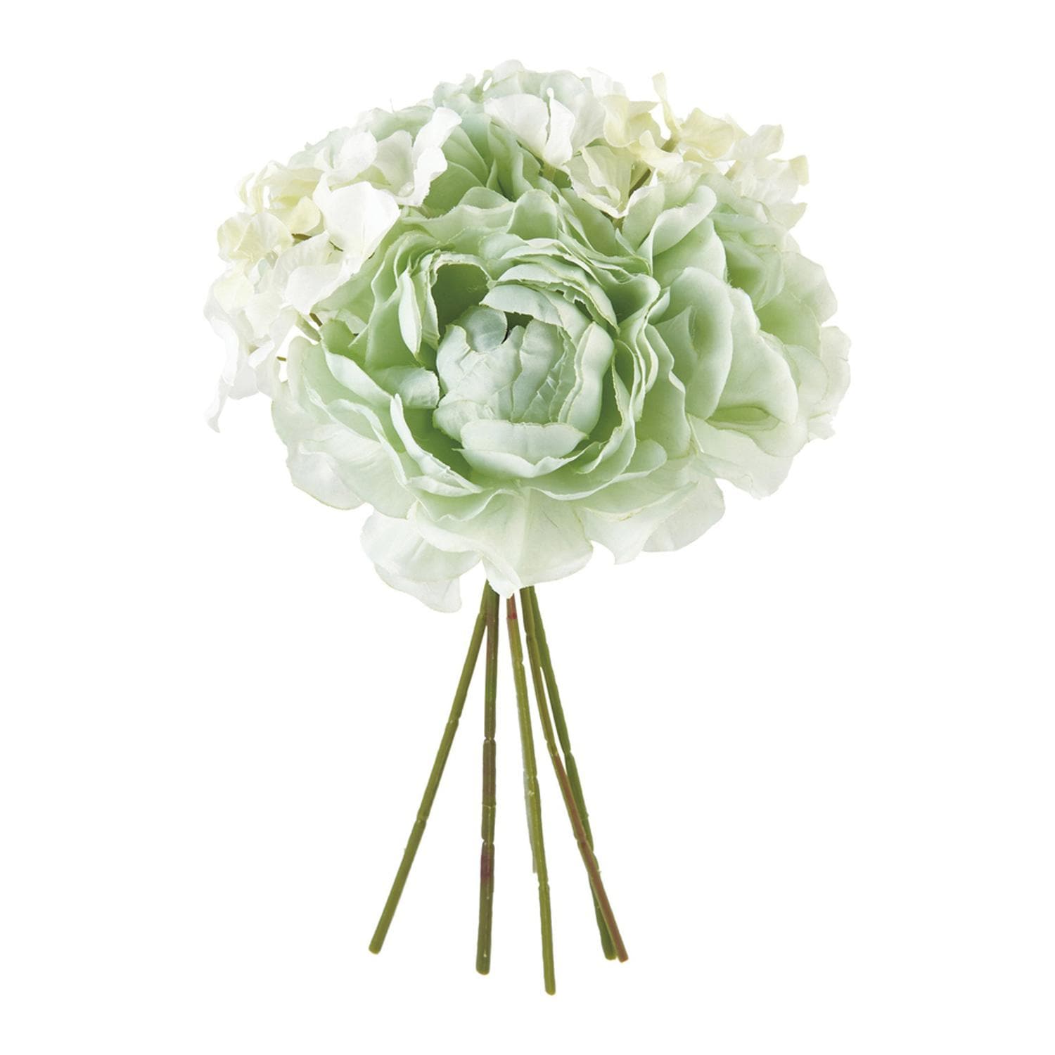 [}C]LfB[sIj[~bNXu[P/obN[ht@~[iBACKYARD FAMILYj CgO[