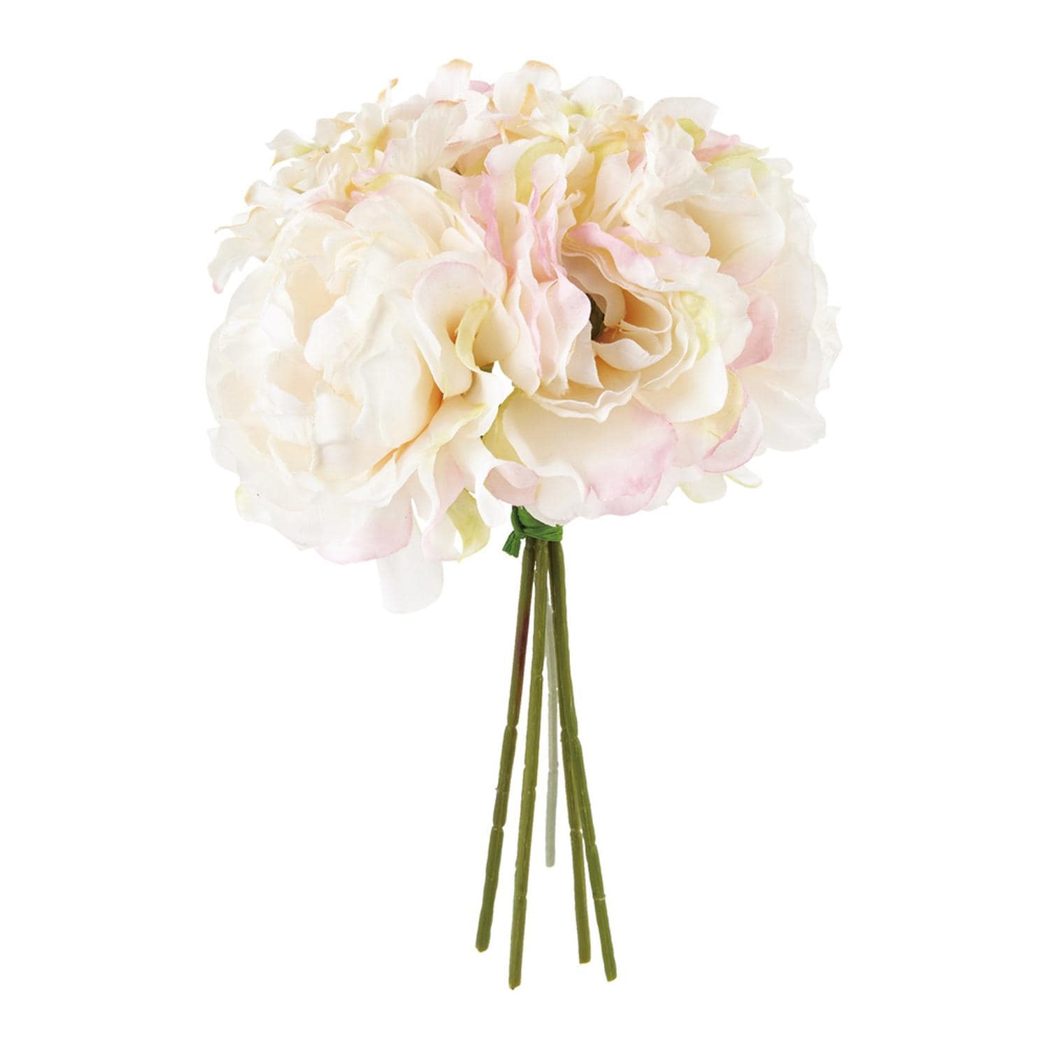 [}C]LfB[sIj[~bNXu[P/obN[ht@~[iBACKYARD FAMILYj N[