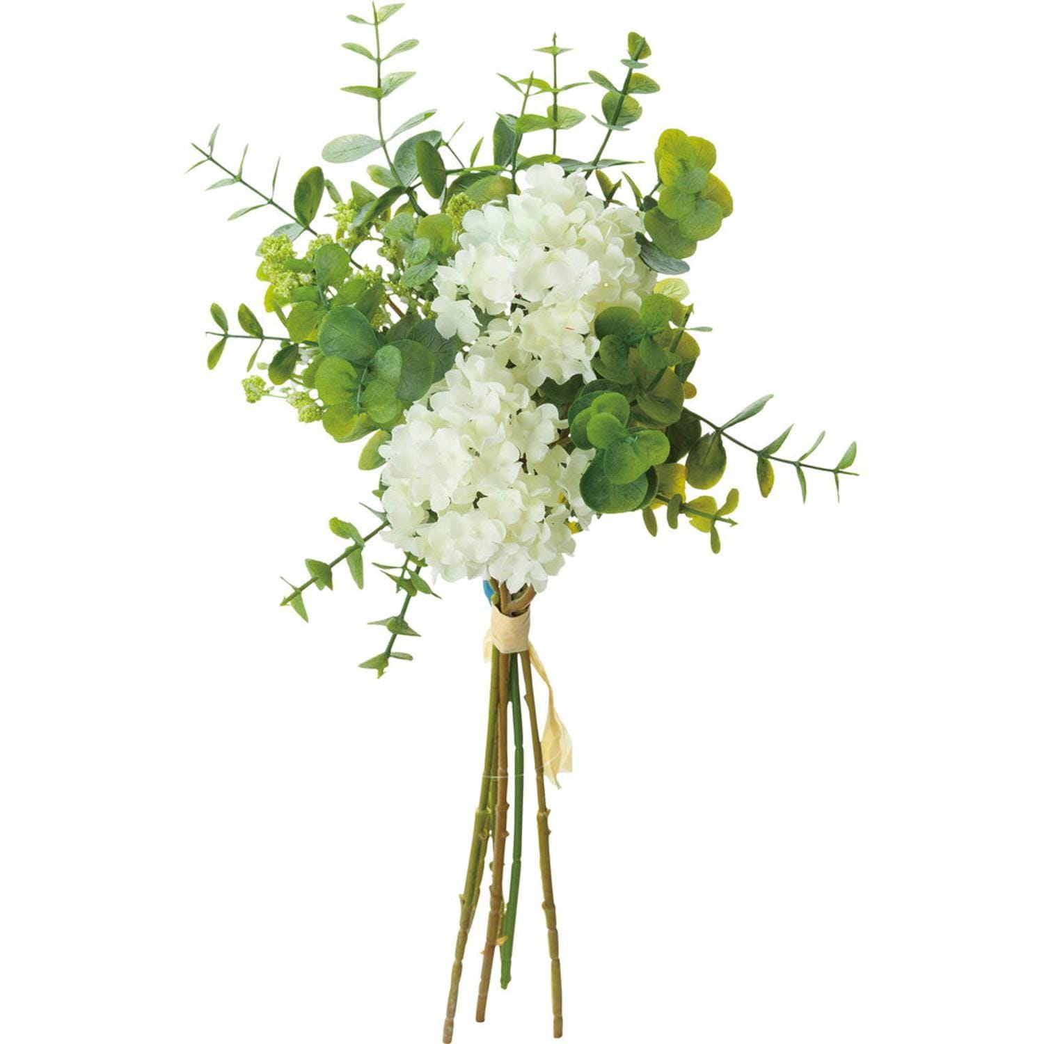 [}C][Jt[~bNXoh/obN[ht@~[iBACKYARD FAMILYj zCg