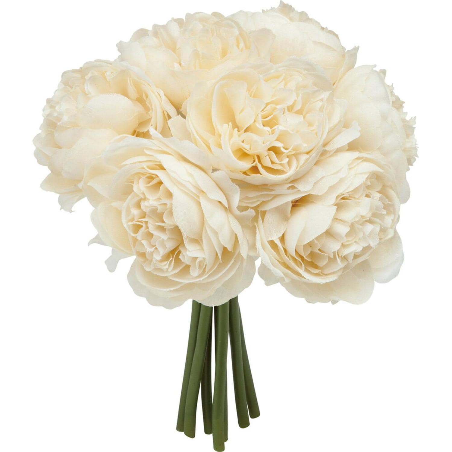 [}C]ptB[iLXu[P/obN[ht@~[iBACKYARD FAMILYj AC{[