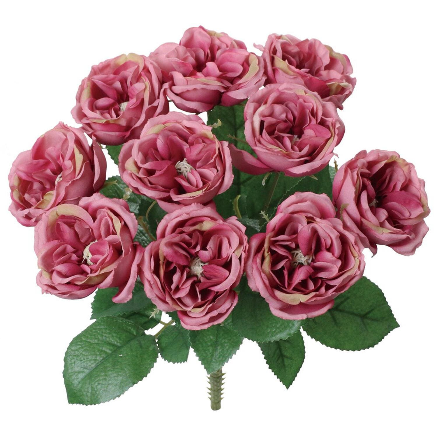 [}C]K[f[YubV/obN[ht@~[iBACKYARD FAMILYj _[N[u