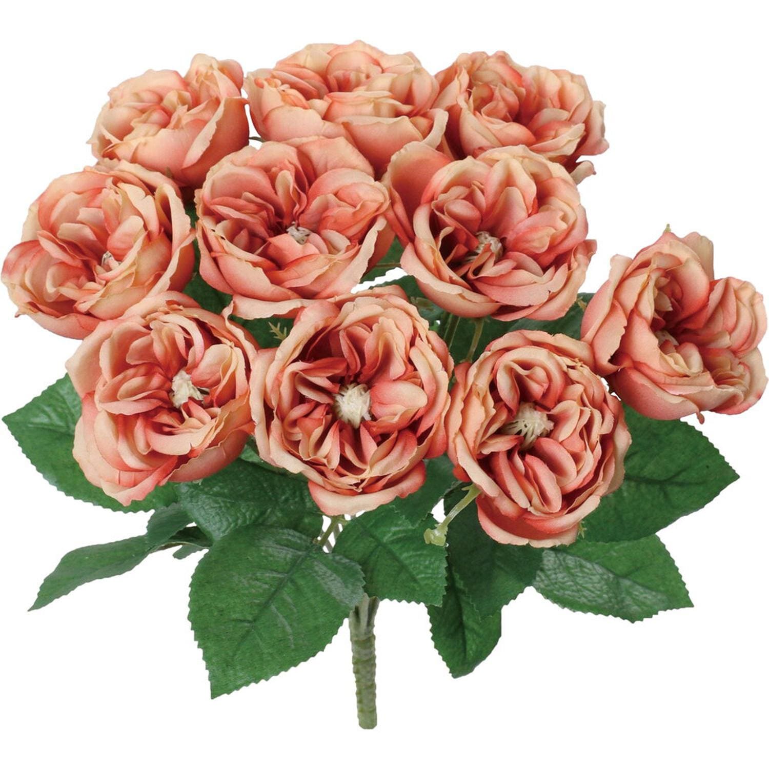 [}C]K[f[YubV/obN[ht@~[iBACKYARD FAMILYj T[