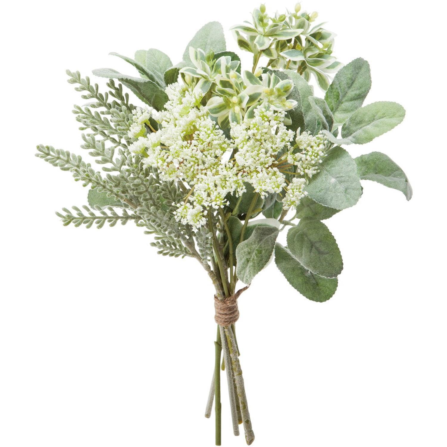 [}C]i`O[u[P/obN[ht@~[iBACKYARD FAMILYj O[