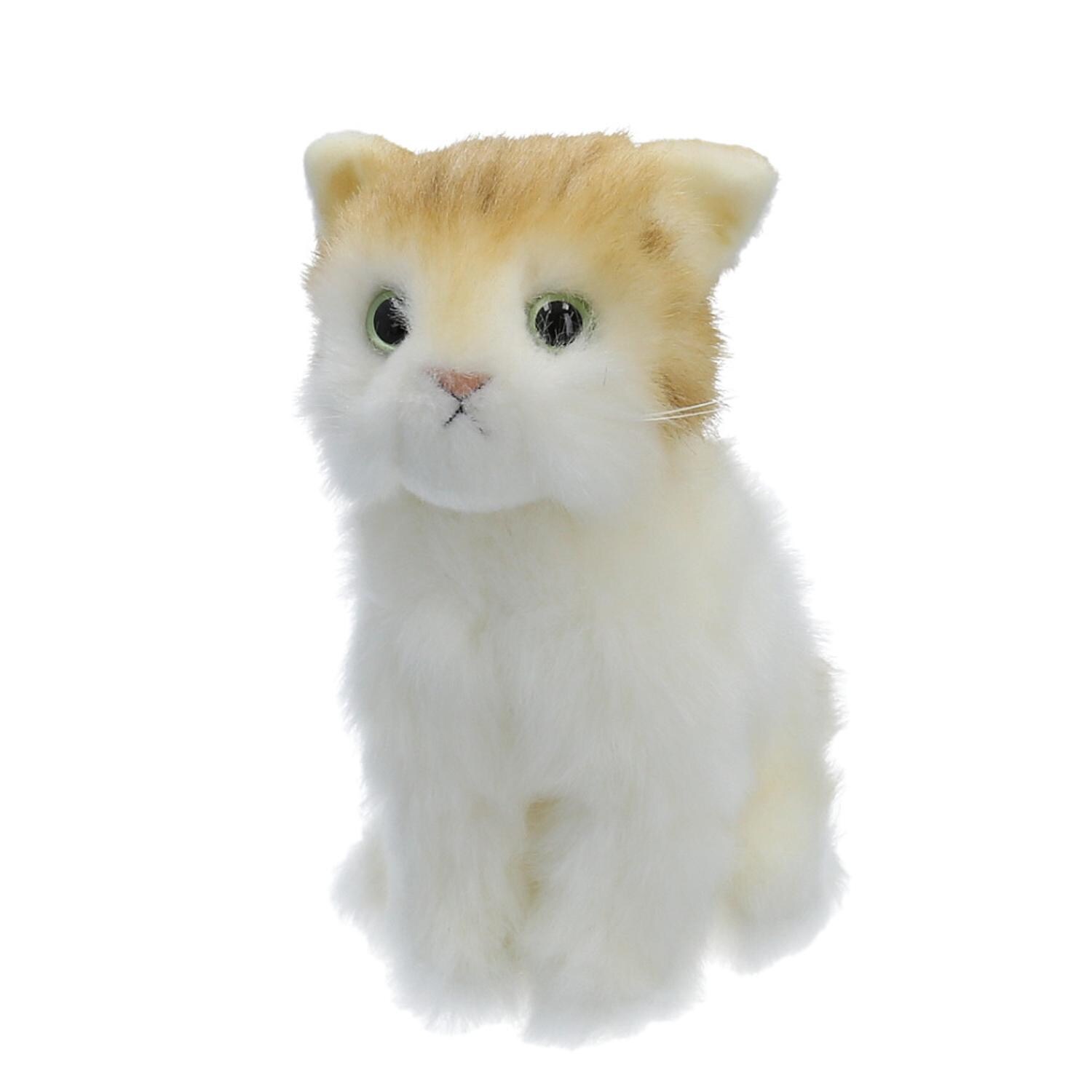 [}C]{ ALbg STCY/obN[ht@~[iBACKYARD FAMILYj g