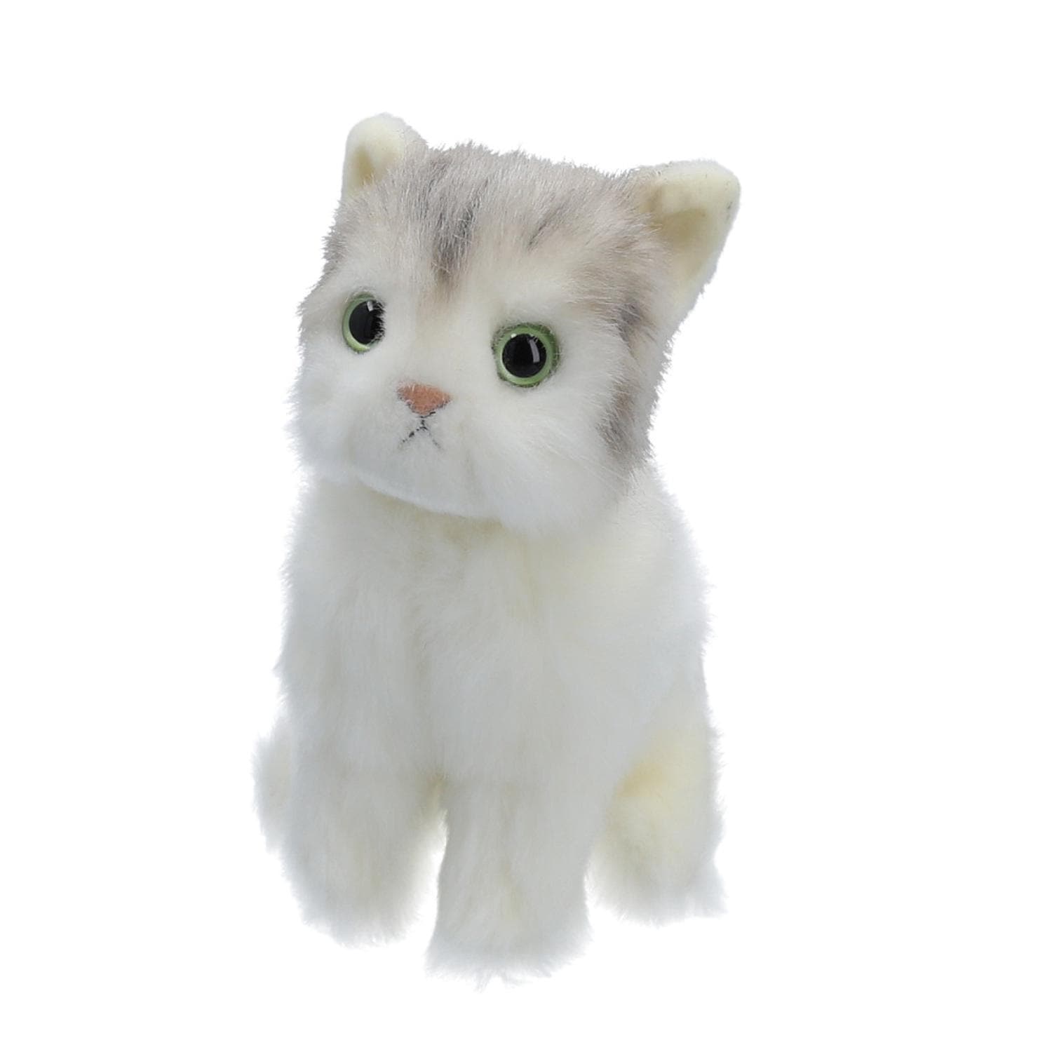 [}C]{ ALbg STCY/obN[ht@~[iBACKYARD FAMILYj gO[