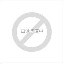BEAMZSQUARE カーボンレザーWファスナー長財布