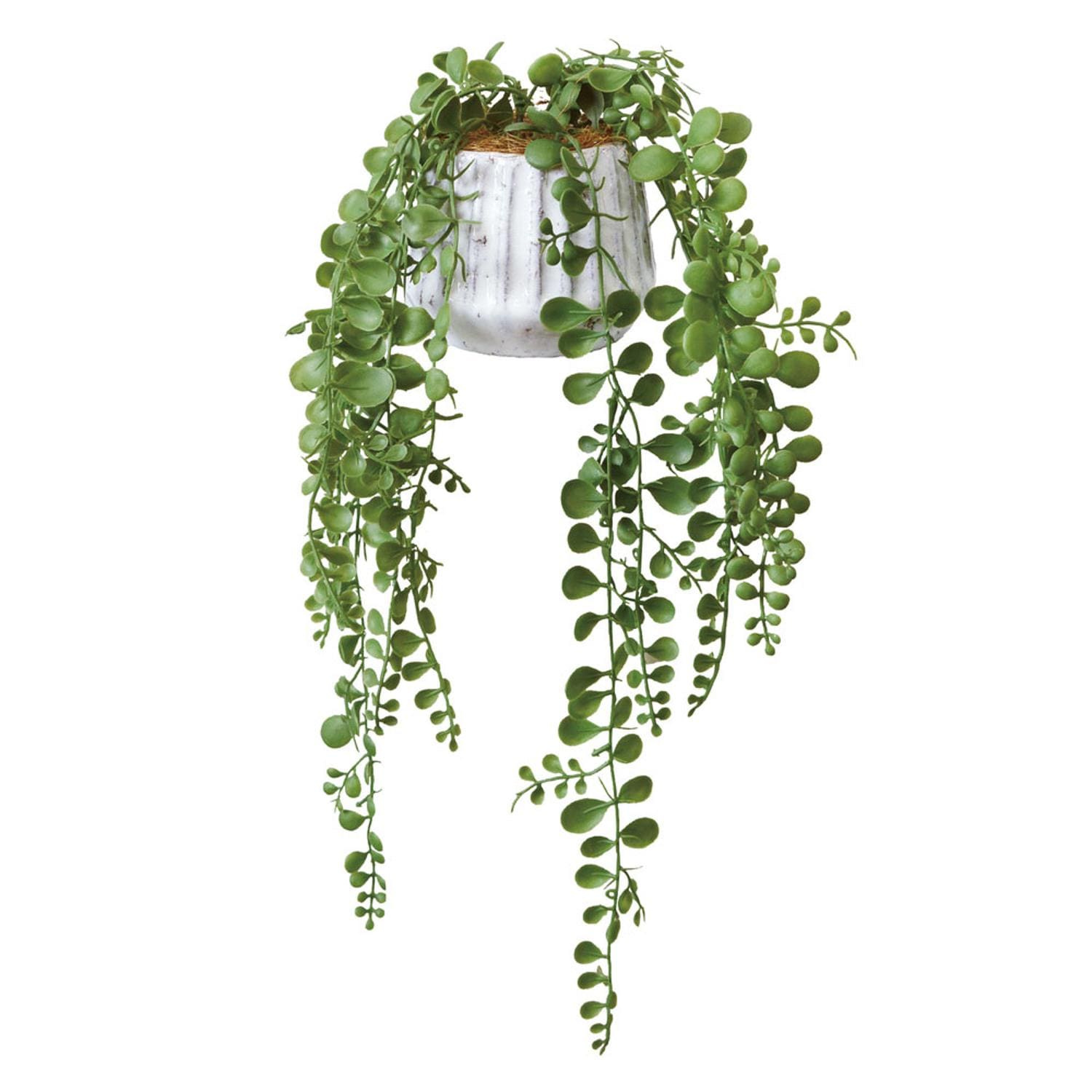 [}C]G} ir[ |bgS/obN[ht@~[iBACKYARD FAMILYj yy~A