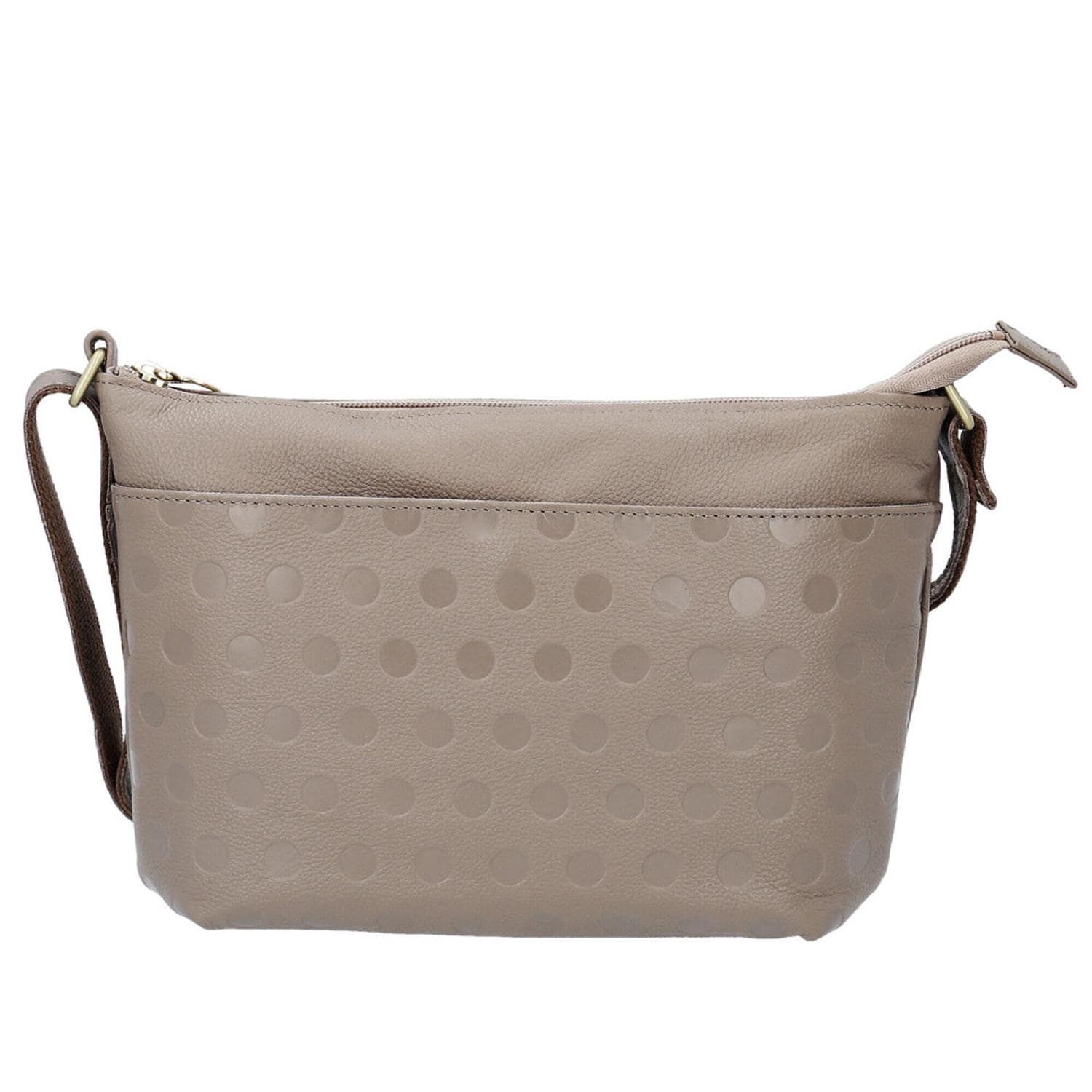 [}C]zucchero YbP 29125 ʌ^V_[obO/obN[ht@~[iBACKYARD FAMILYj O[