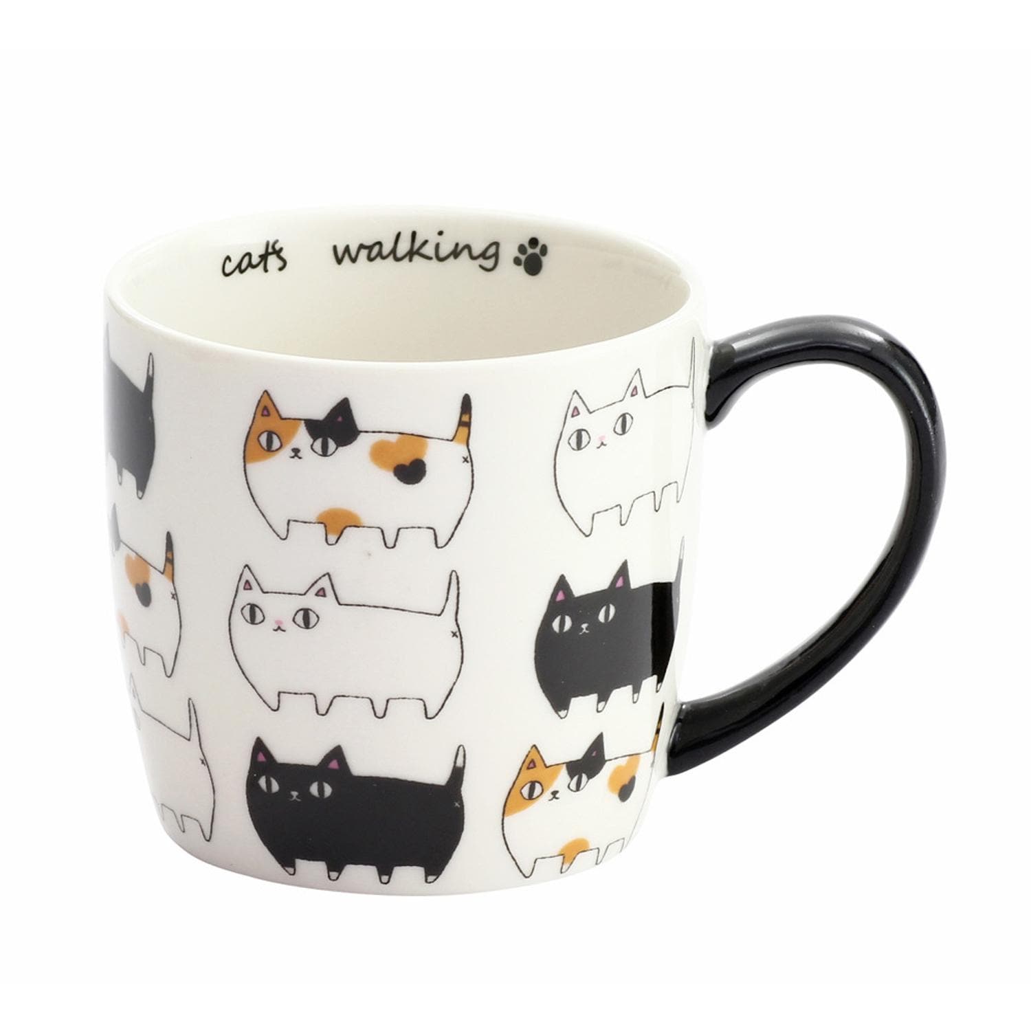 [}C]ɂ L3Z}OJbv/obN[ht@~[iBACKYARD FAMILYj aؒ