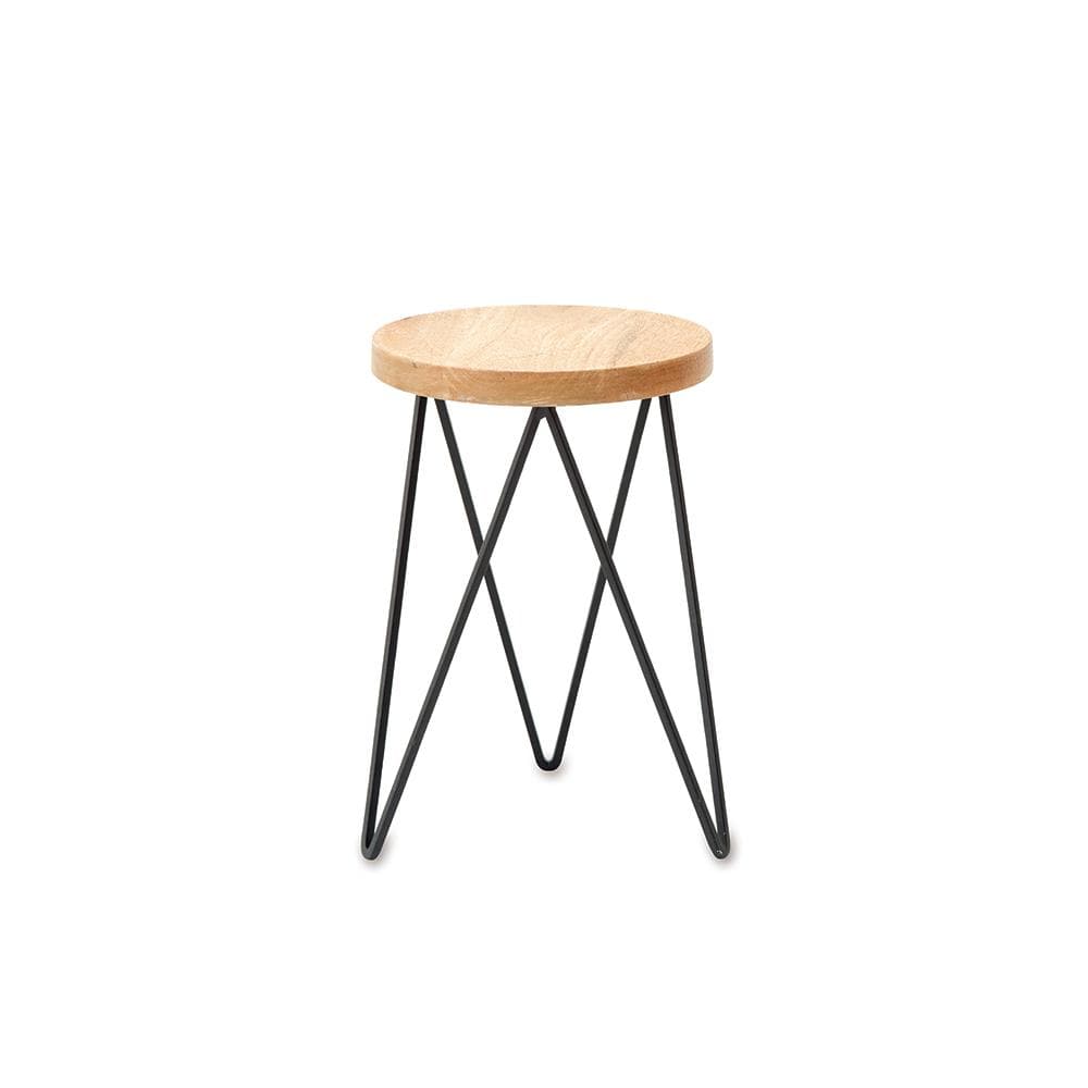 [}C]T[NX^h STCY/obN[ht@~[iBACKYARD FAMILYj }S[Ebh/ACA