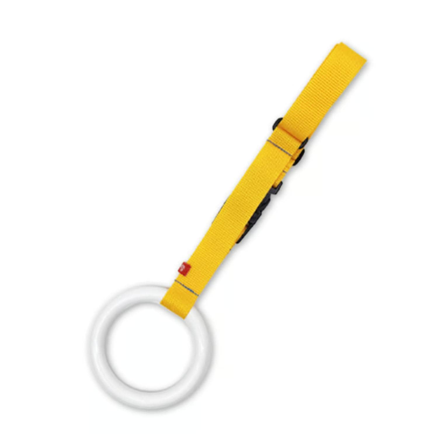 [}C]oGO!GO!-Advance/obN[ht@~[iBACKYARD FAMILYj hN^[CG[