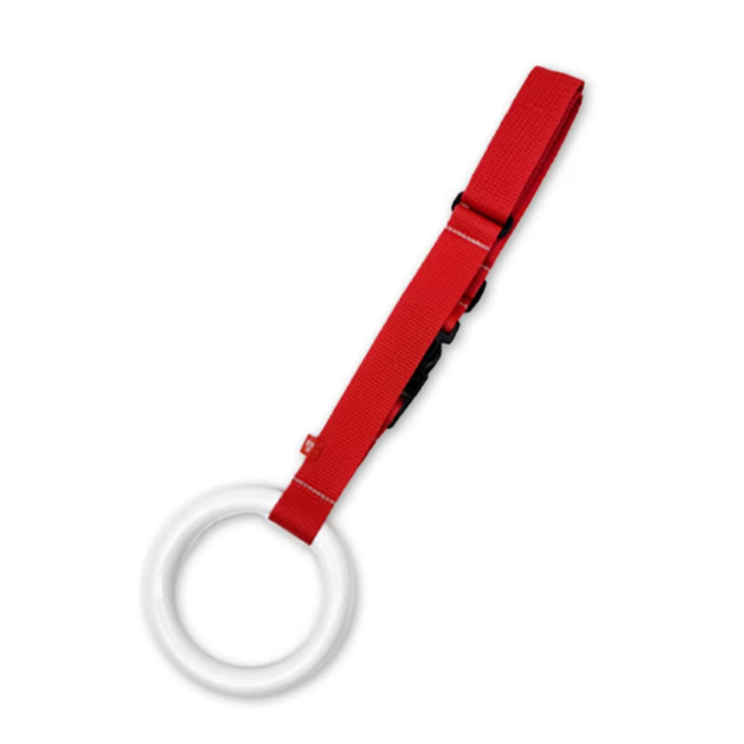 [�}���C]���o����GO!GO!-Advance/�o�b�N���[�h�t�@�~���[�iBACKYARD FAMILY�j ���܂�